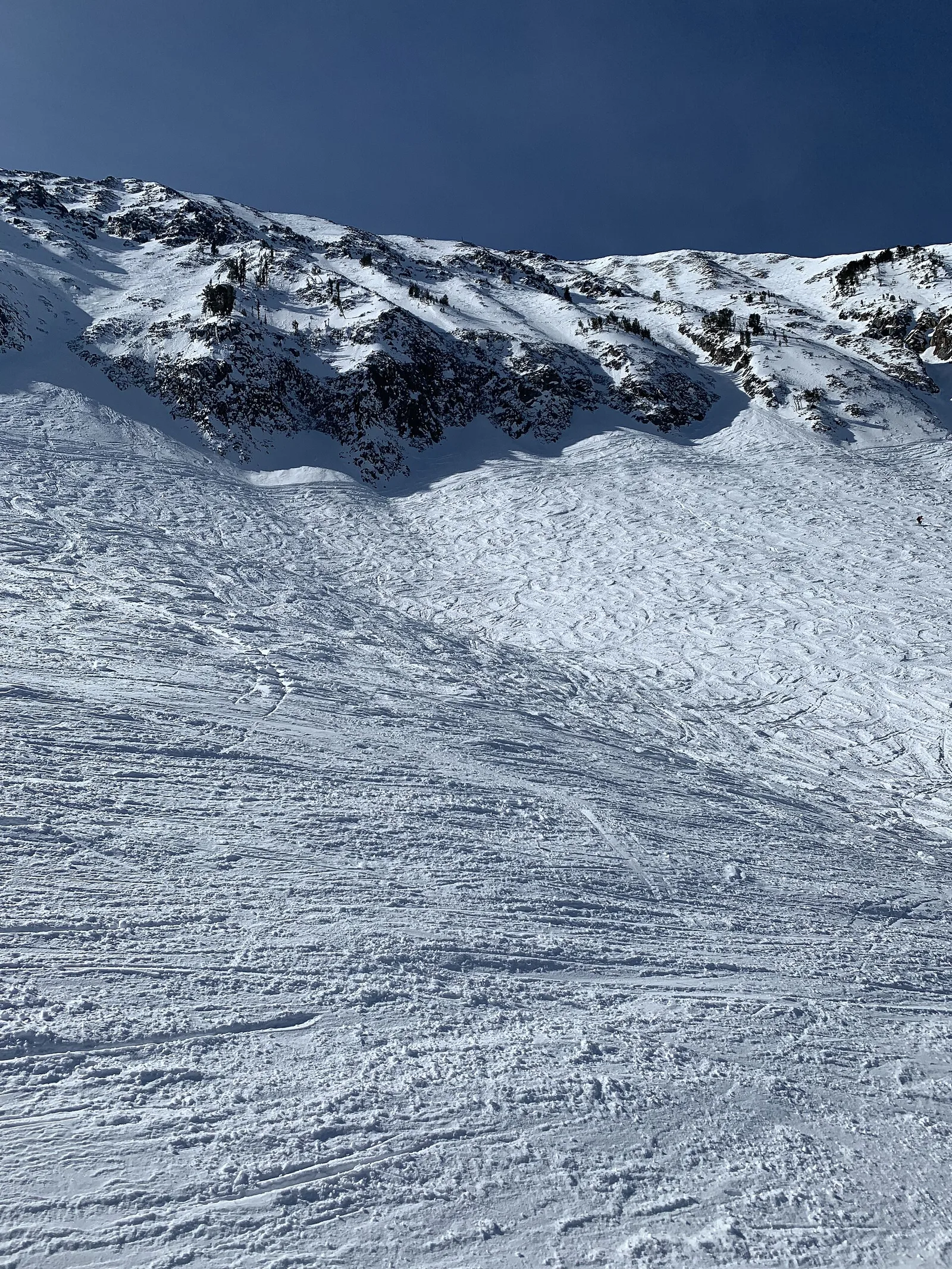 View of Big Sky Mountain Detail — Big Sky airbnb marketing