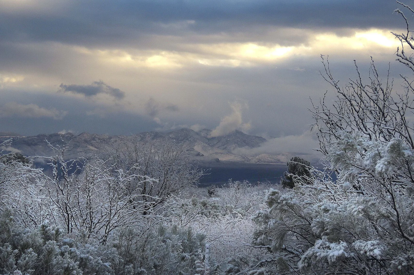 Mule Mountains, AZ — Bisbee airbnb marketing