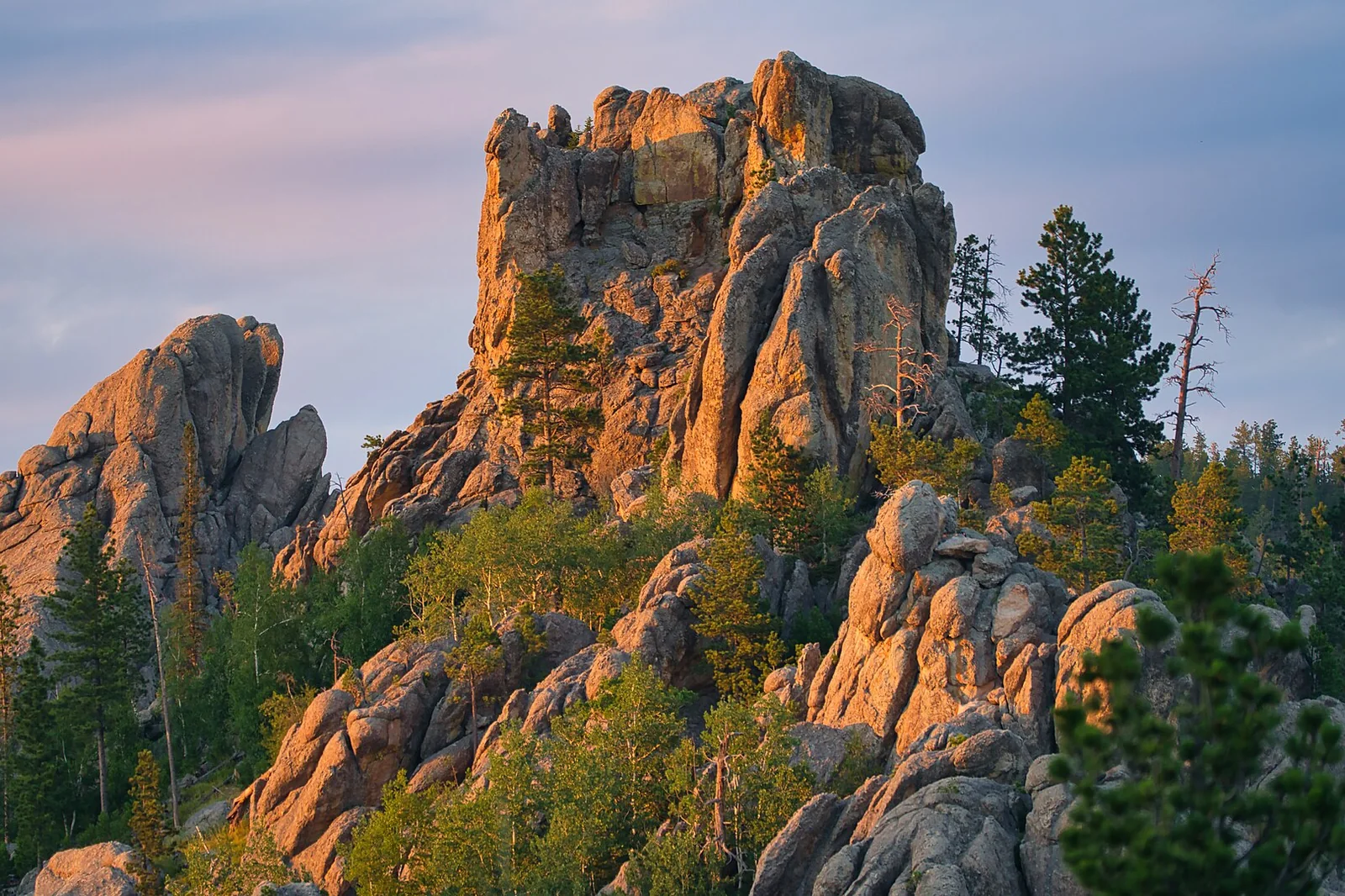 Custer State Park — The Black Hills airbnb marketing