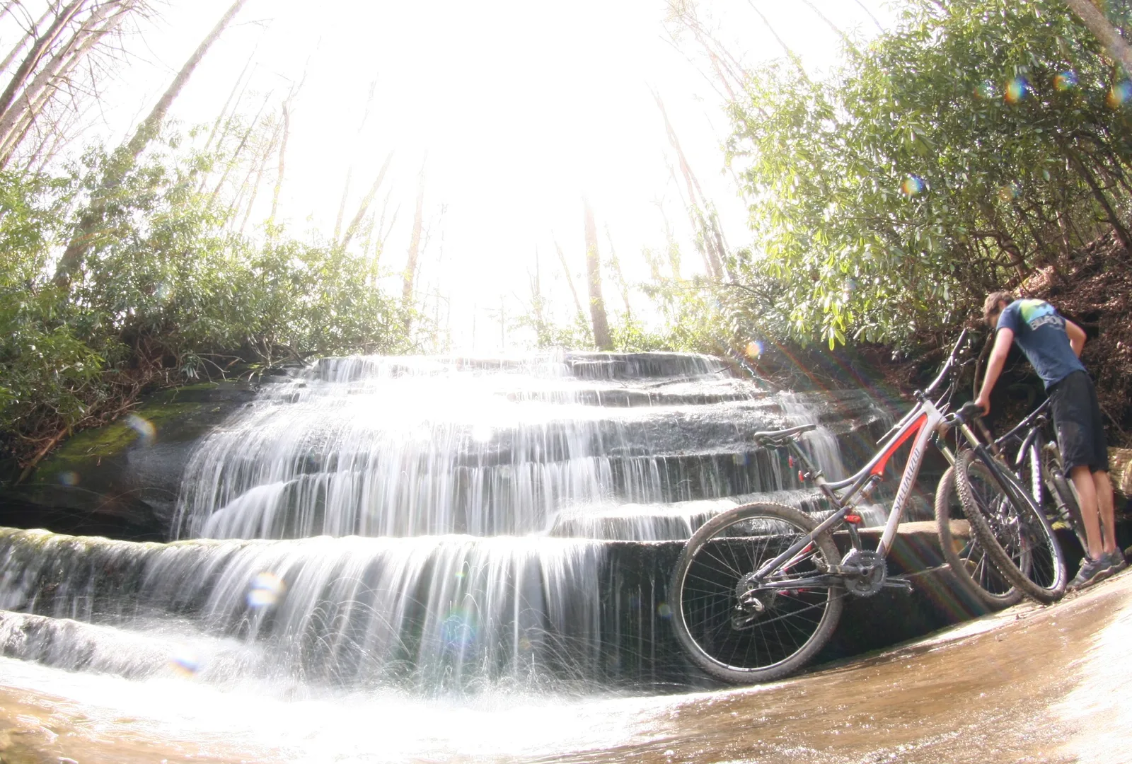 Pisgah National Forest — Brevard airbnb marketing
