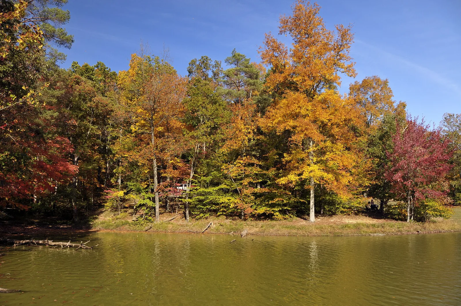 Brown County Lake, Indiana — Brown County airbnb marketing
