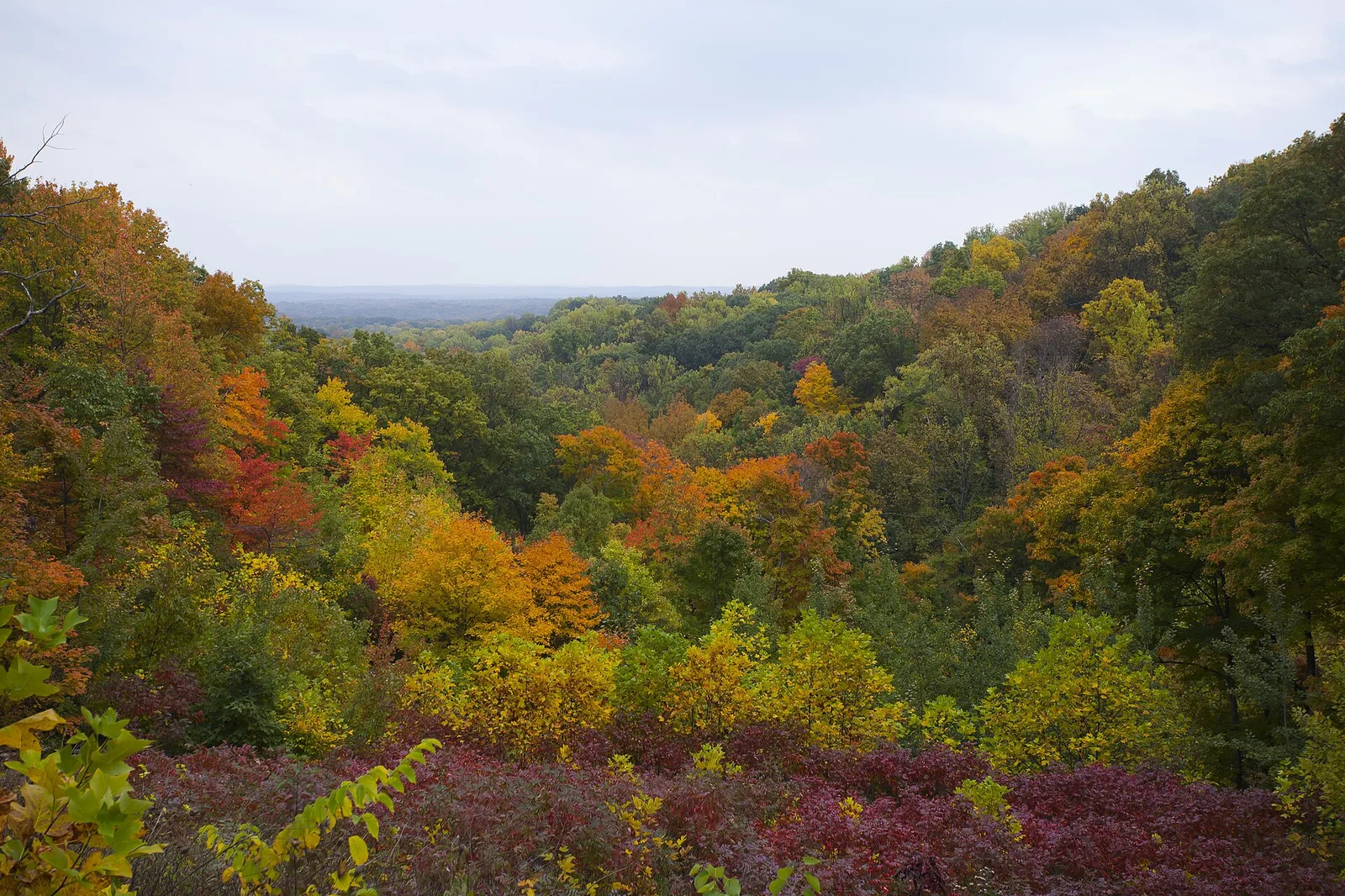 Parque Estatal Brown County, Indiana, Estados Unidos, 2012 10 14, DD 10 — Brown County airbnb marketing