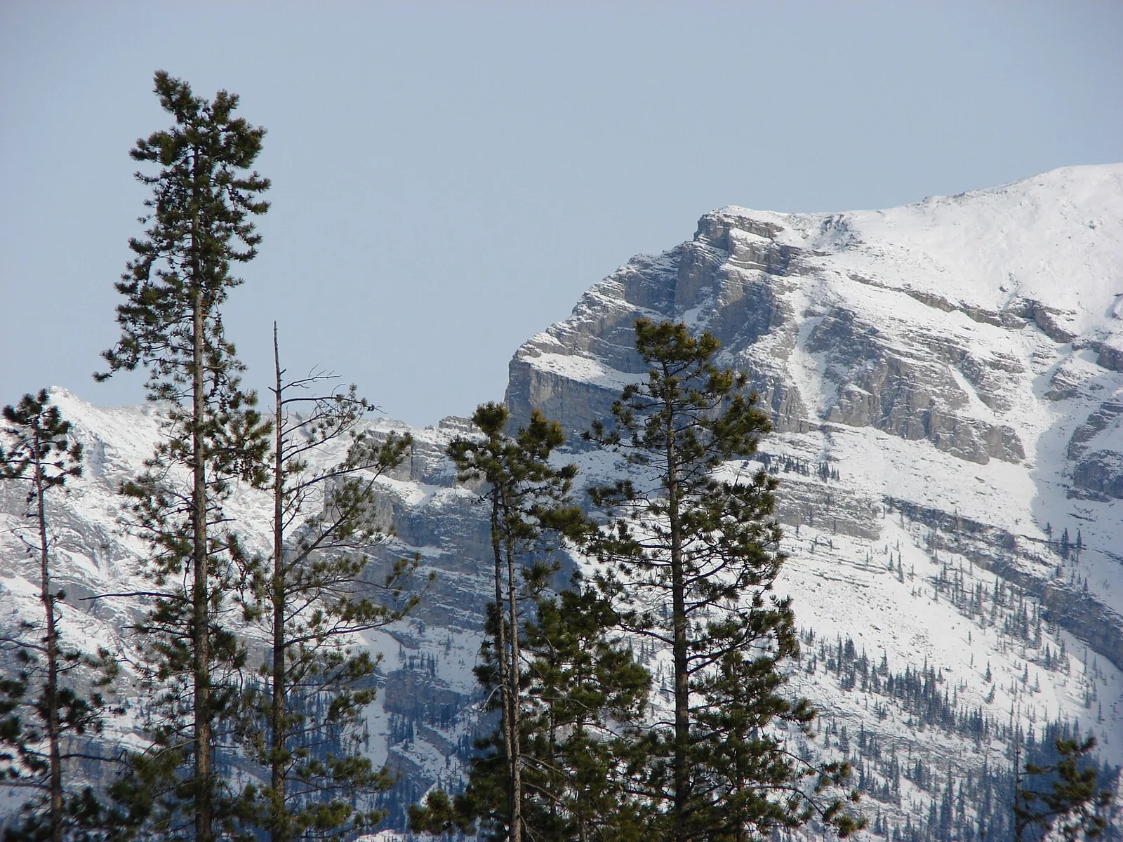 CPCanmore — Canmore airbnb marketing