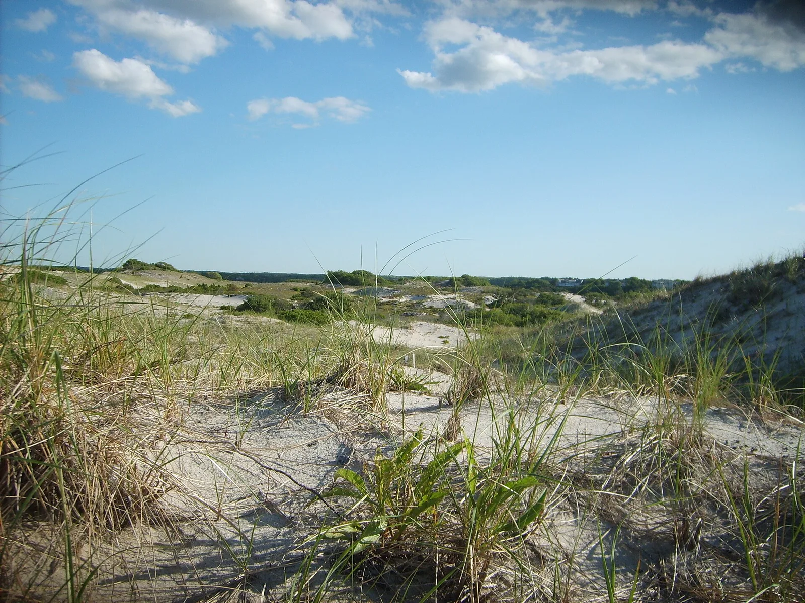 SandyNeckDunes — Cape Cod airbnb marketing