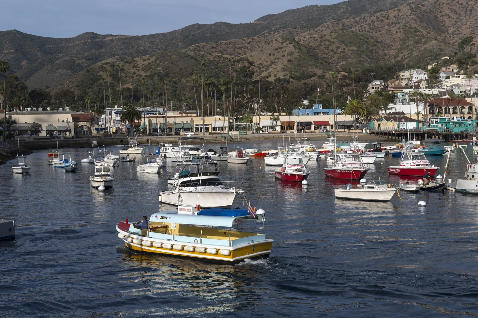 Avalon Harbor, Santa Catalina Island — Avalon Catalina airbnb marketing