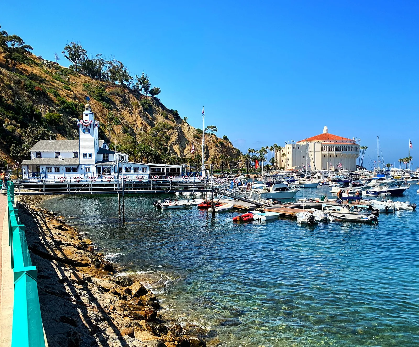 Historic Catalina Island Yacht Club and Casino from Avalon Harbor — Avalon Catalina airbnb marketing