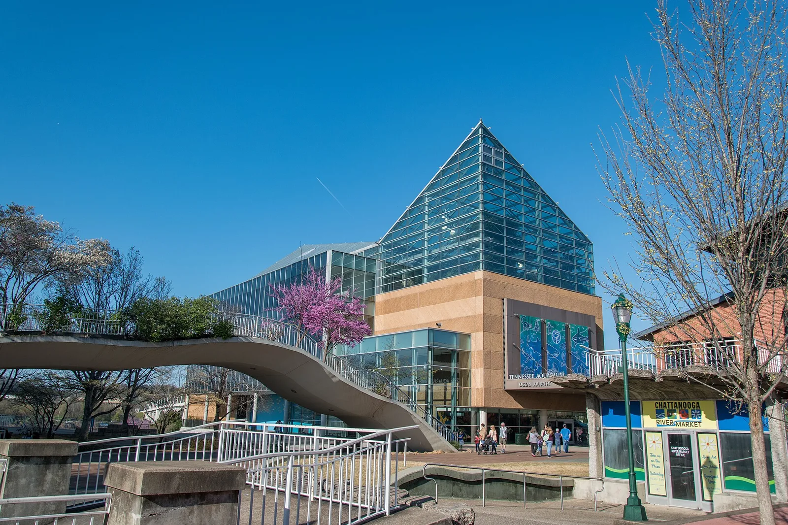 TN Aquarium 02 — Chattanooga airbnb marketing
