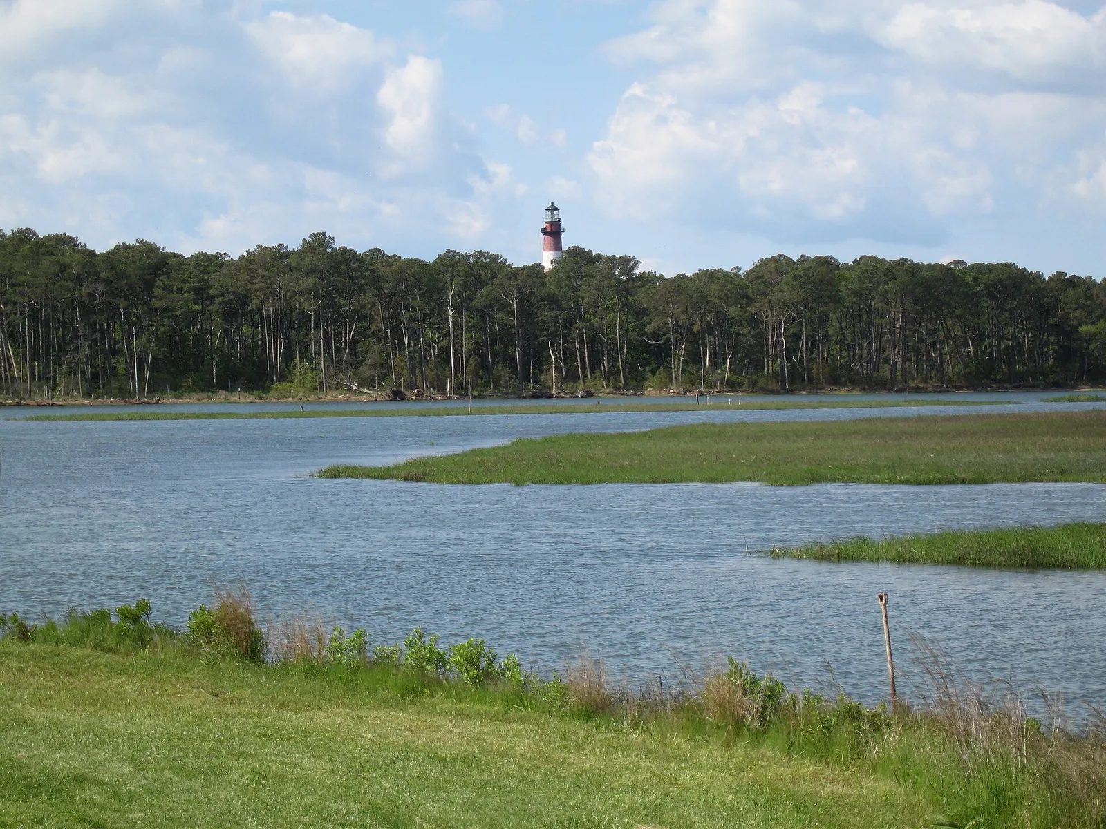Chincoteague National Wildlife Refuge 1 — Chincoteague airbnb marketing