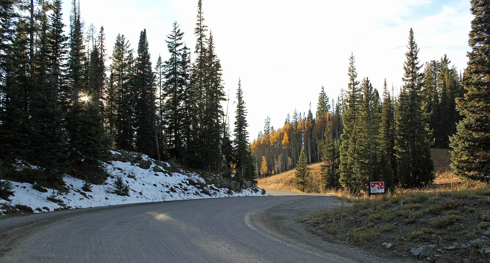 Kebler Pass — Crested Butte airbnb marketing