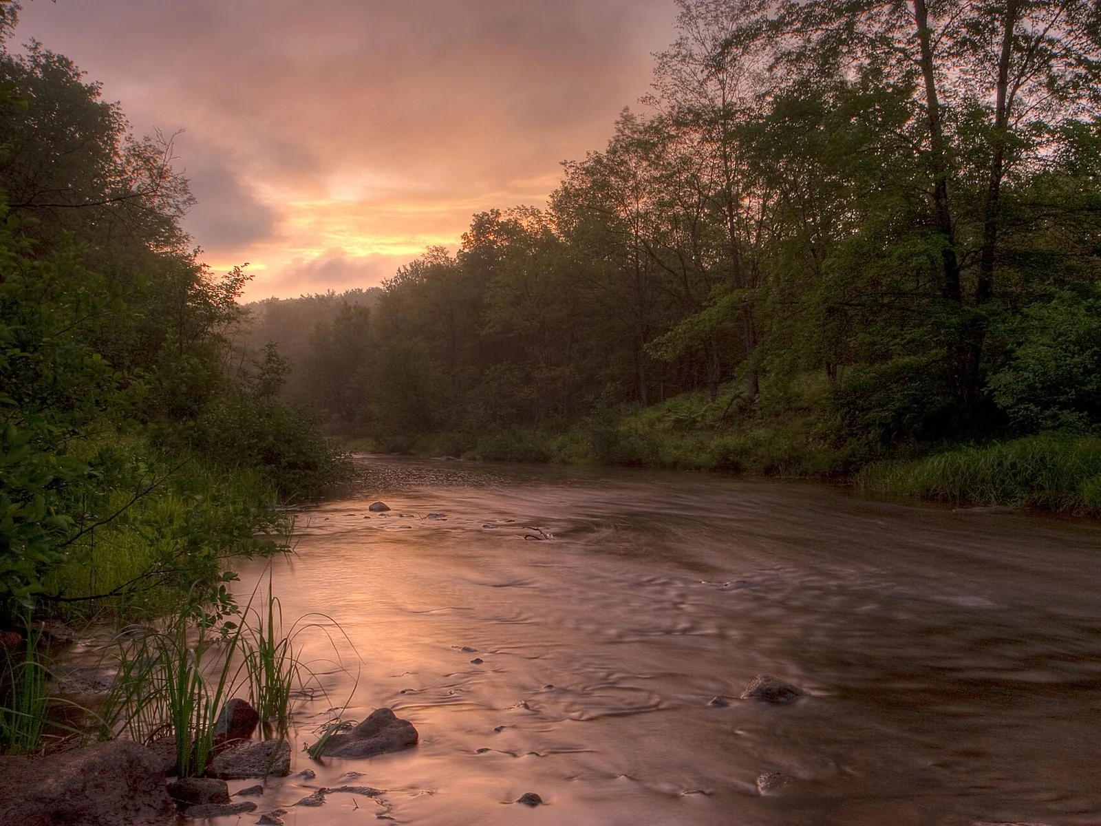 Blackwater River — Davis airbnb marketing