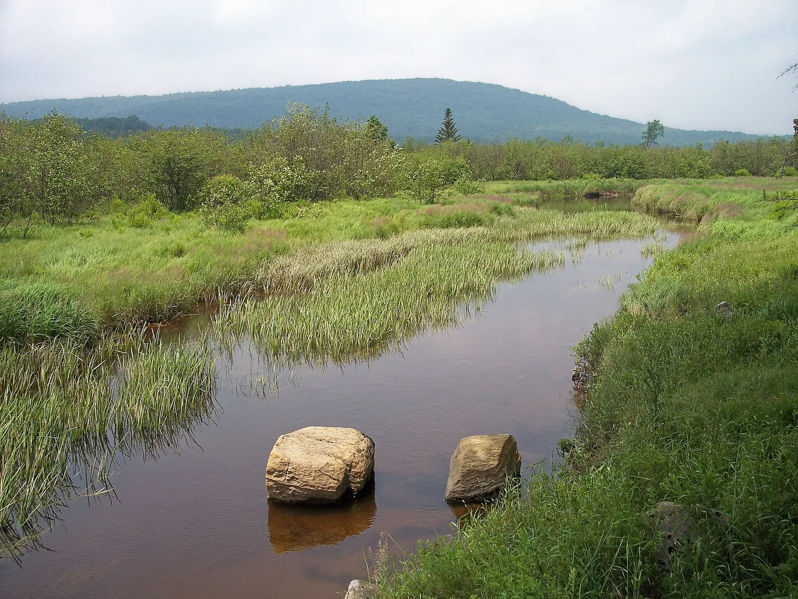 Blackwater River Canaan Valley Resort State Park — Davis airbnb marketing