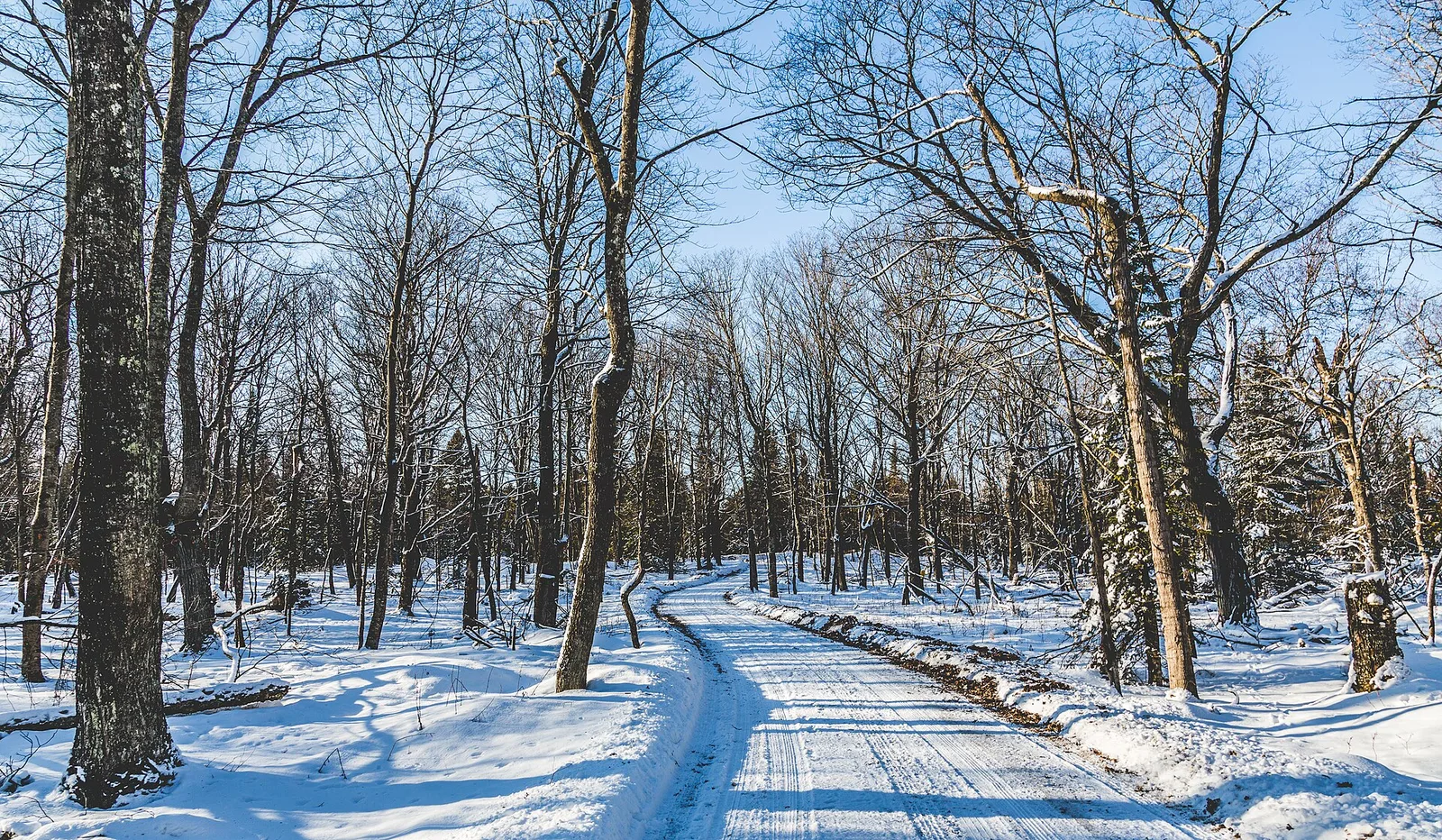 Winter Road Shivering Sands, Door Peninsula — Door County airbnb marketing