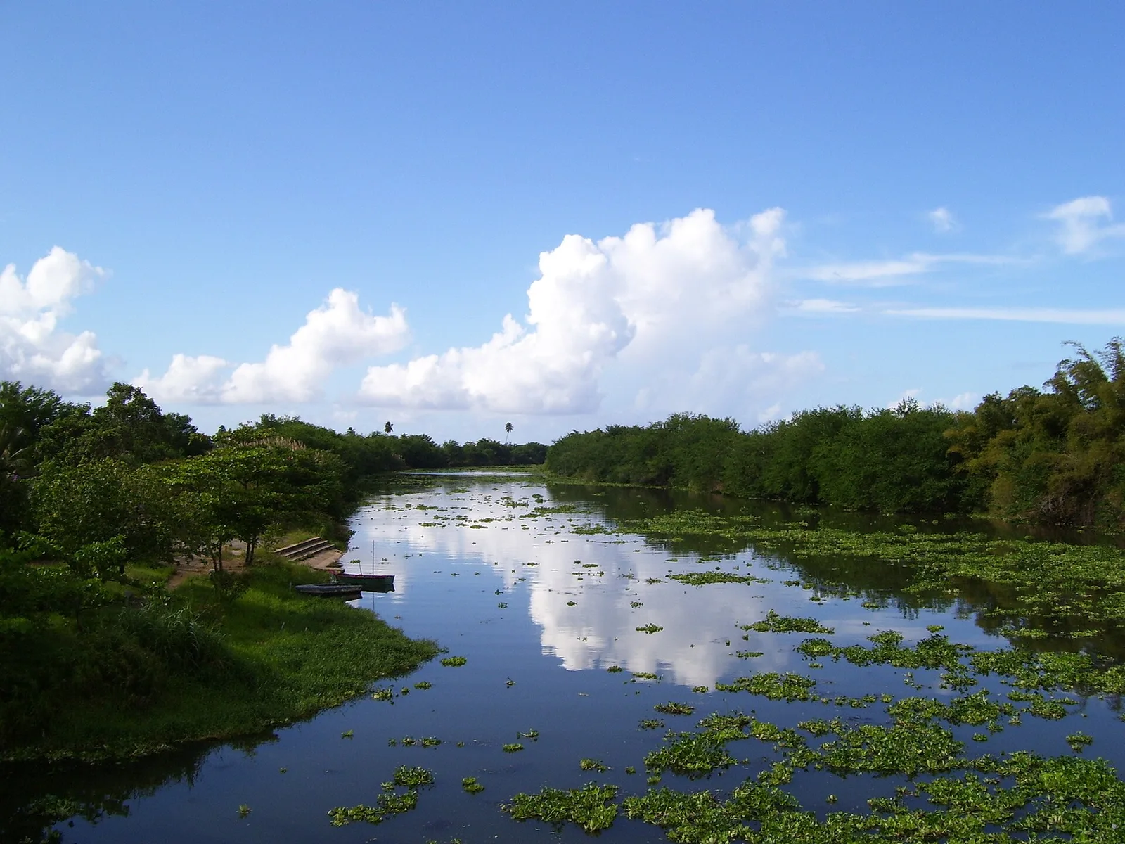 Rio Plata Dorado PR — Dorado airbnb marketing