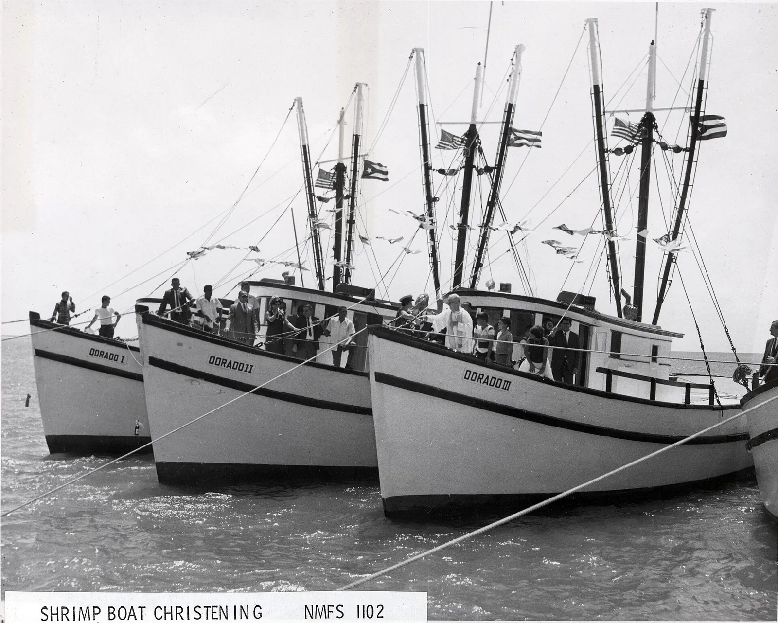 Shrimp boats of the Dorado Fishing Cooperative in Puerto Rico — Dorado airbnb marketing