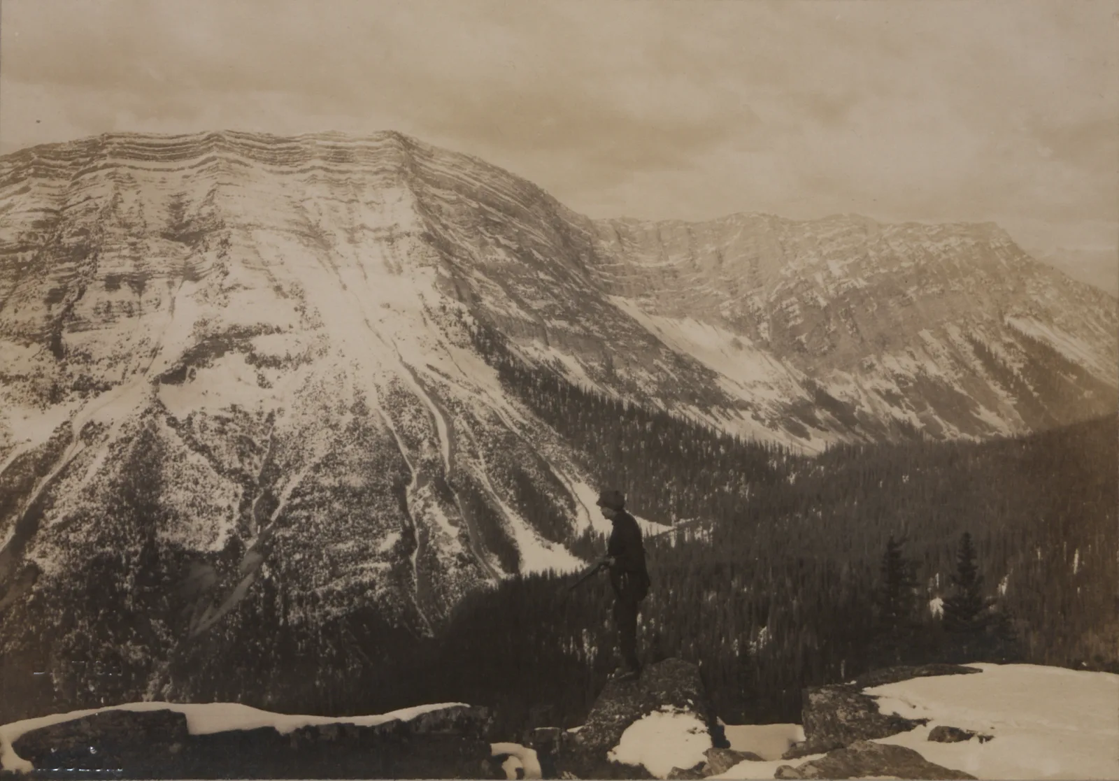 Goat Mountain from the summit of Crown Mountain, Crow's Nest Pass, British Columbia — Fernie airbnb marketing
