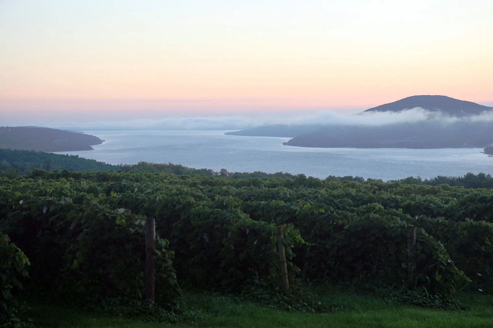 Sunrise overlooking a vineyard in the Finger Lakes — Finger Lakes airbnb marketing
