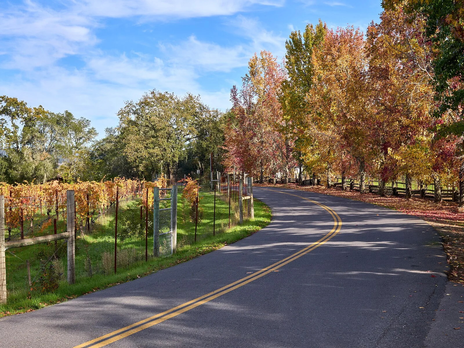 West Dry Creek Road at Lambert Bridge Winery — Healdsburg airbnb marketing
