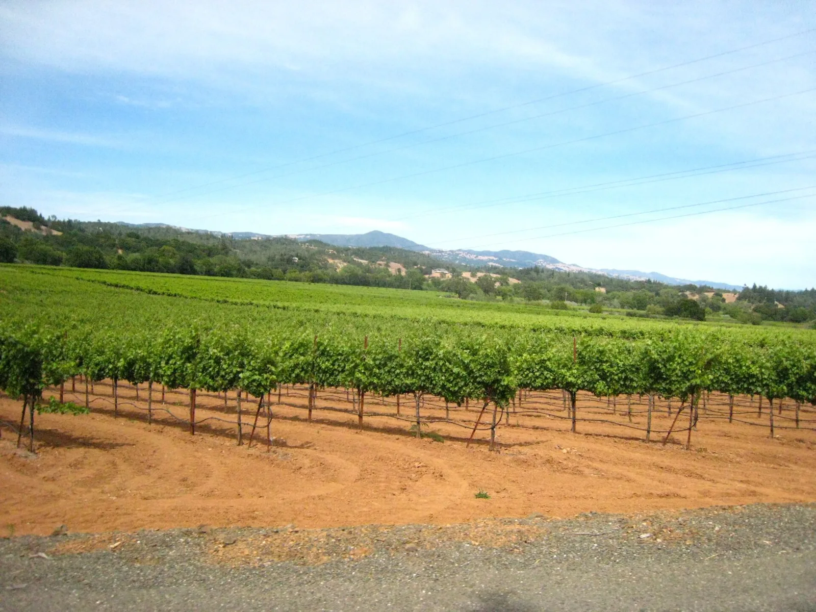 West Dry Creek Road Vineyards — Healdsburg airbnb marketing