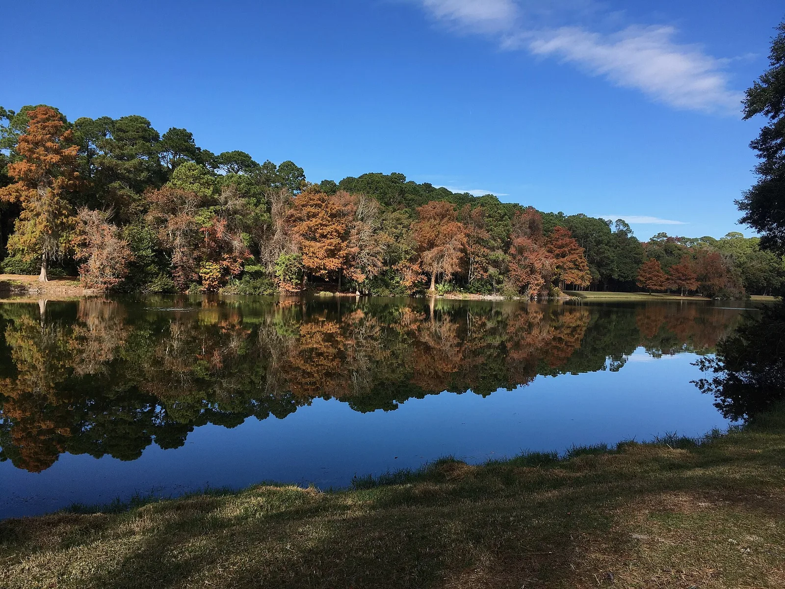 Lake Joe, Sea Pines Forest Preserve, Hilton Head — Hilton Head airbnb marketing