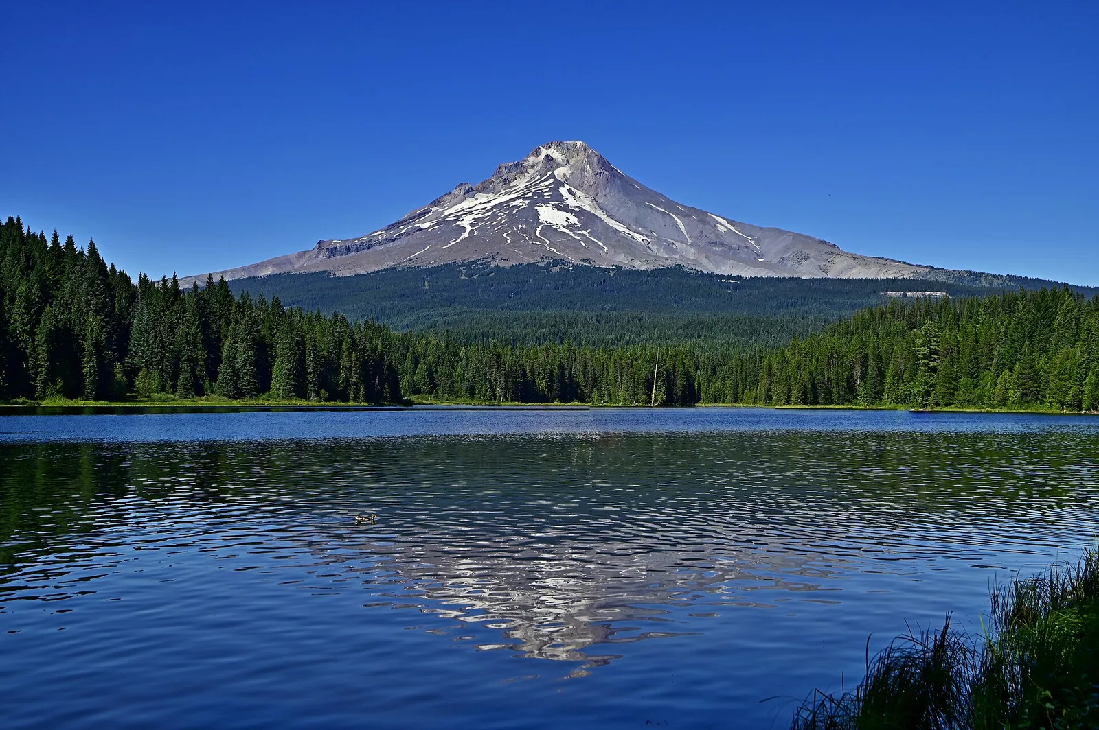 Oregon Mount Hood from Trillium Lake — Hood River airbnb marketing