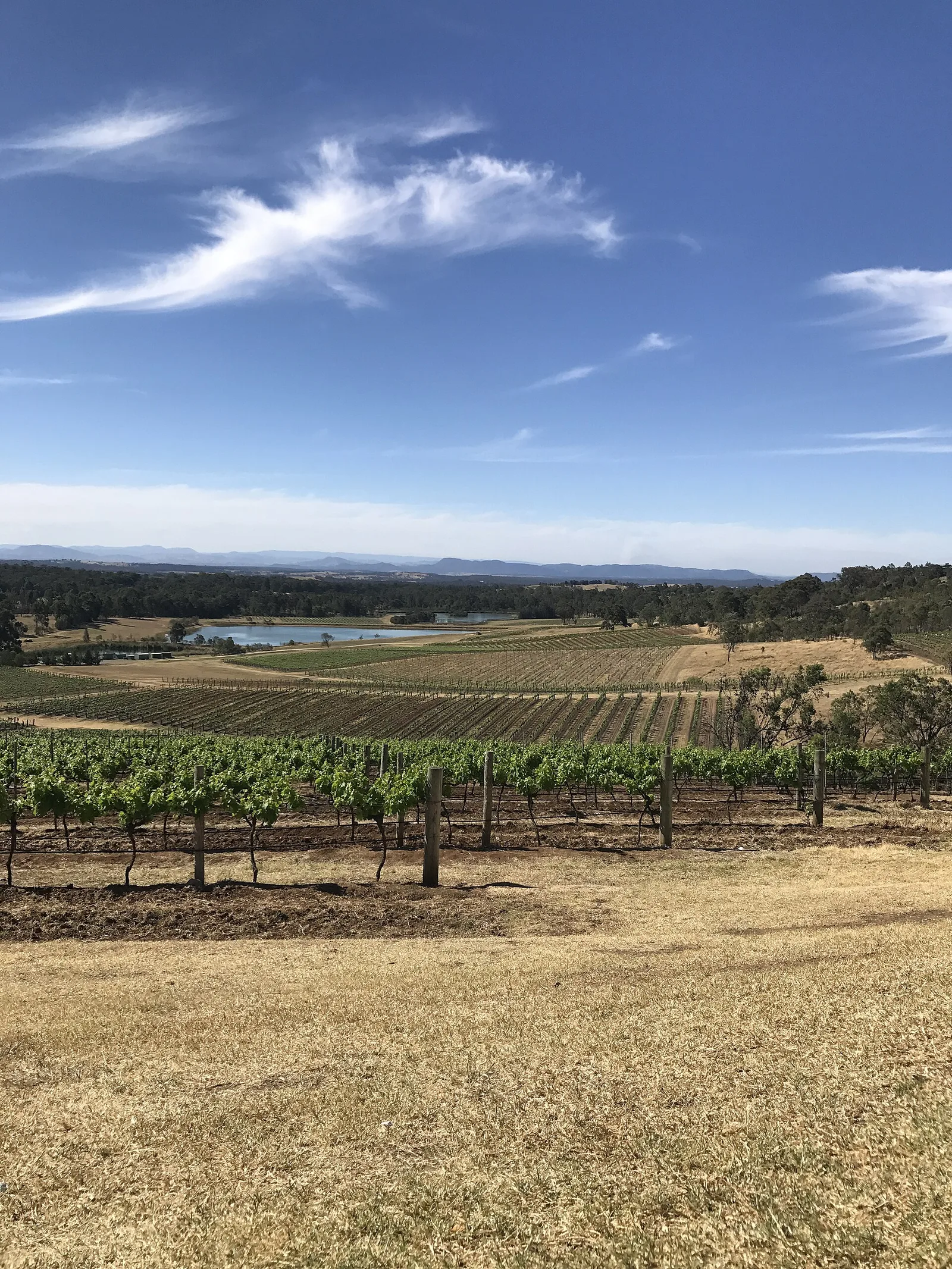 Pokolbin, The Hunter Valley, NSW — Hunter Valley airbnb marketing