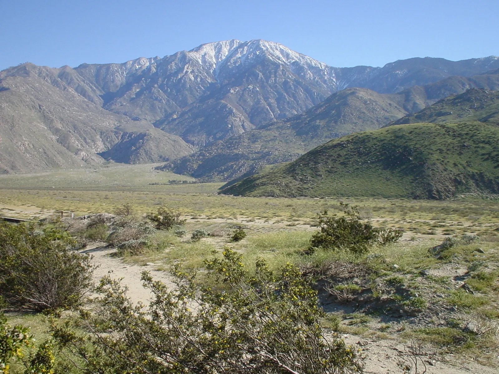 Santa Rosa and San Jacinto Mountains 283 — Idyllwild airbnb marketing