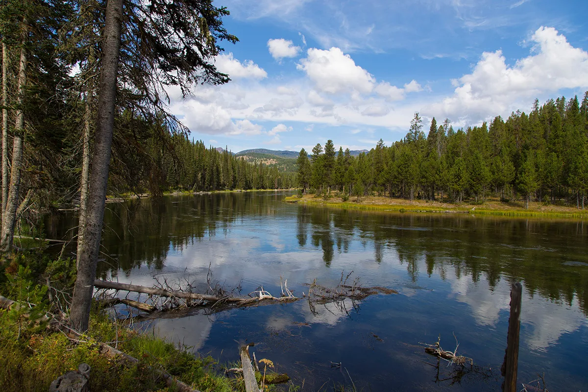 Henrysforksnakeriver — Island Park airbnb marketing