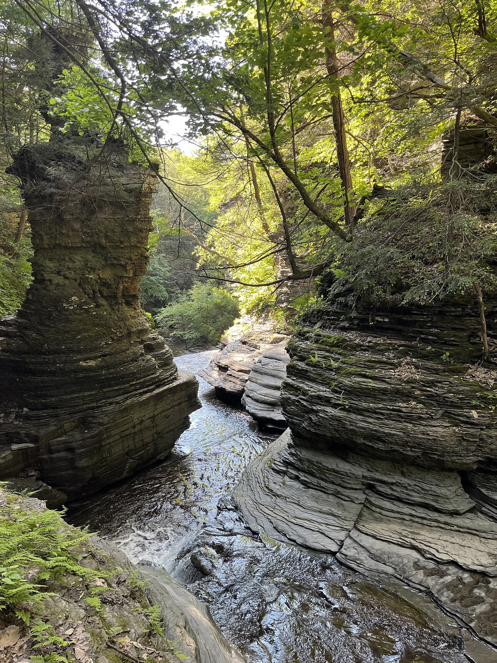 Buttermilk Falls, June — Ithaca airbnb marketing