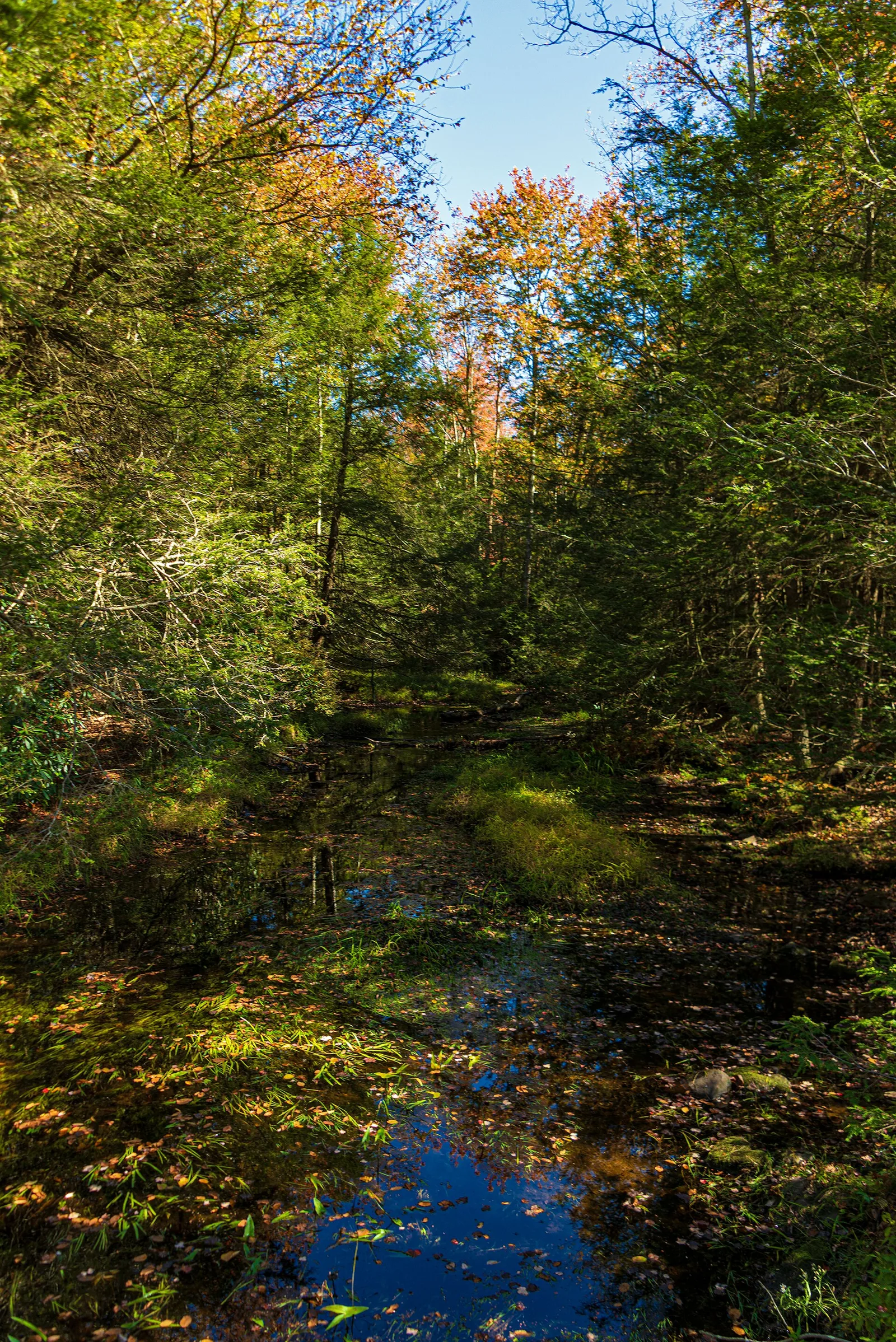Lehigh river near source, Lehigh Twp, PA — Jim Thorpe airbnb marketing