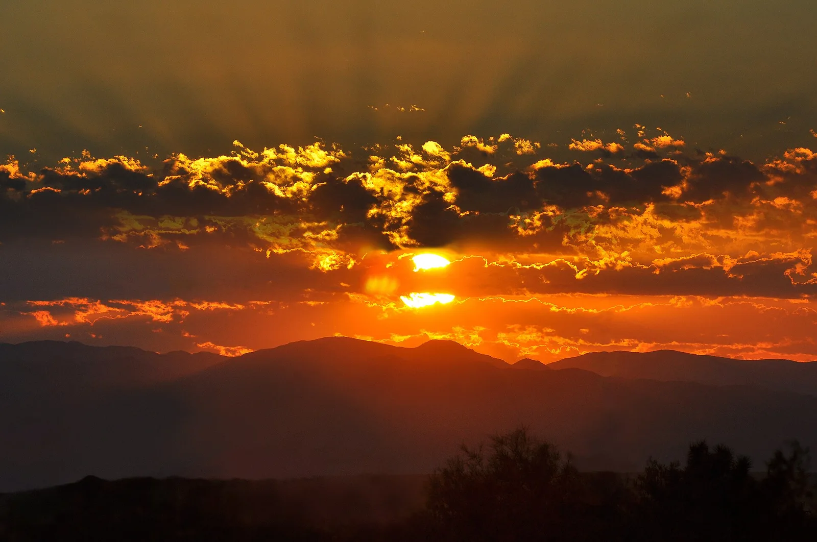 Hazy summer sunrise over the Mojave desert — Joshua Tree airbnb marketing