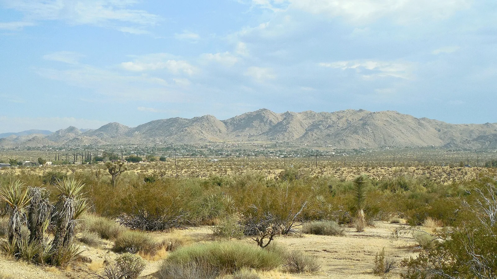Joshua Tree CA — Joshua Tree airbnb marketing