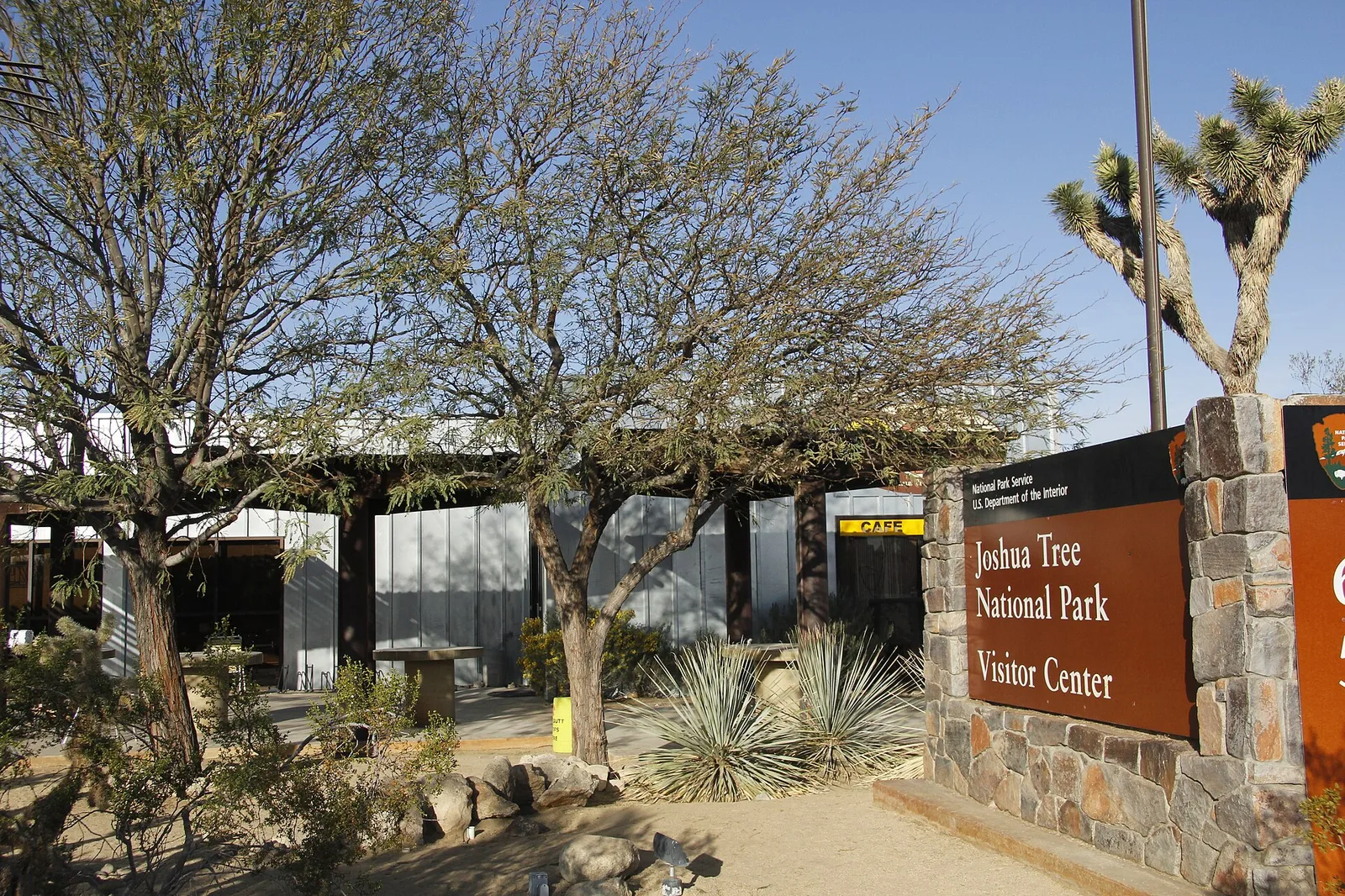Joshua Tree Visitor Center 12 — Joshua Tree airbnb marketing