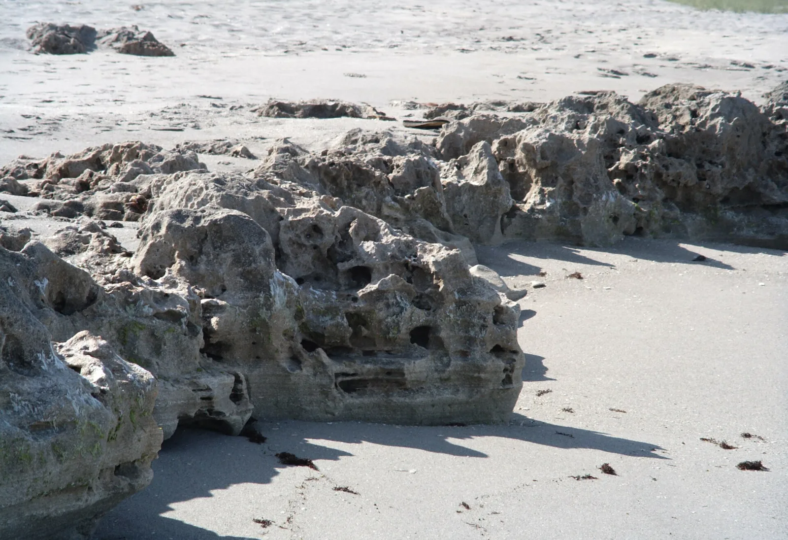Anastasia limestone shoreline — Jupiter Island airbnb marketing