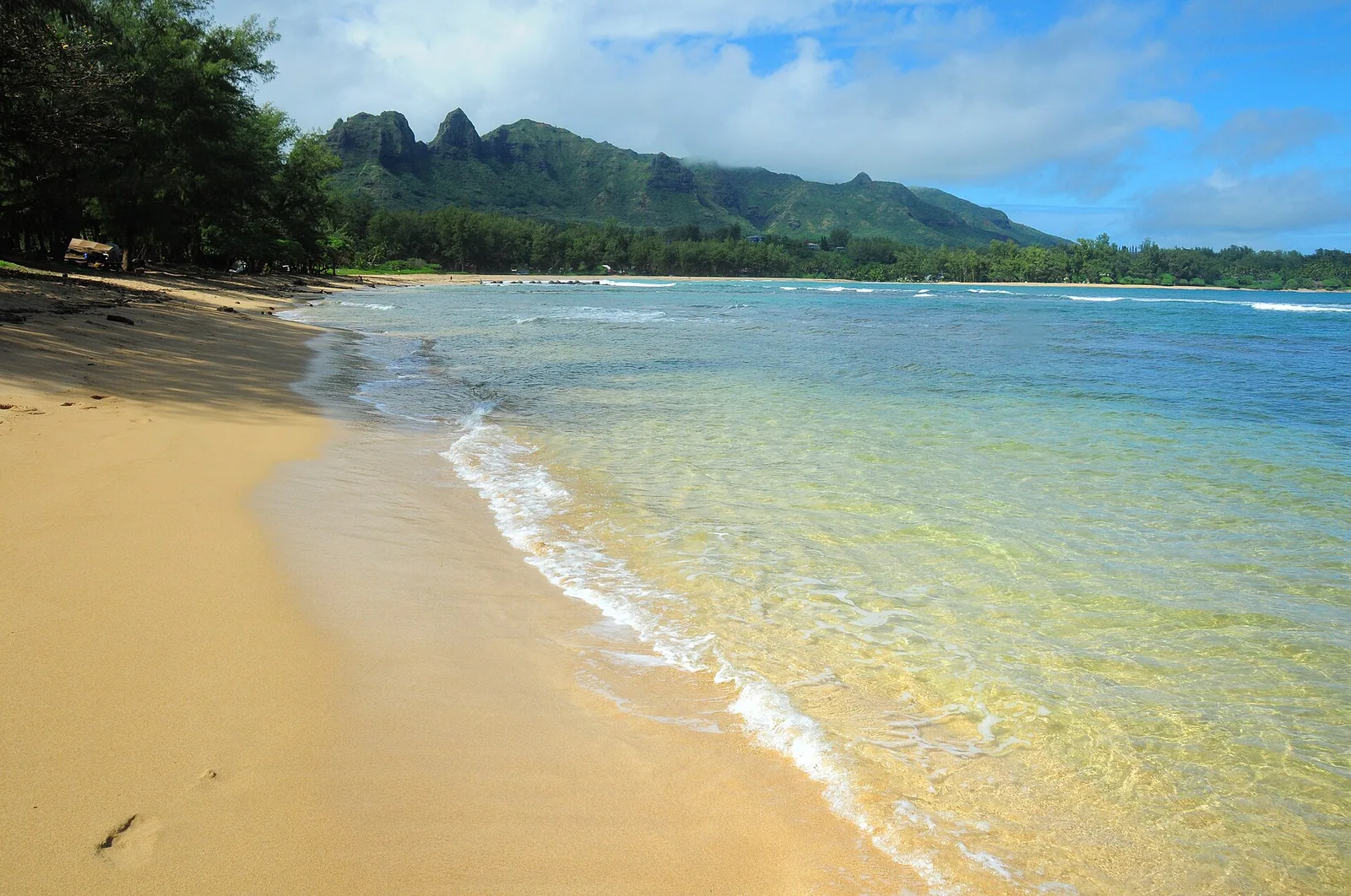 Anahola Beach Kauai Trailblazer — Kauai airbnb marketing