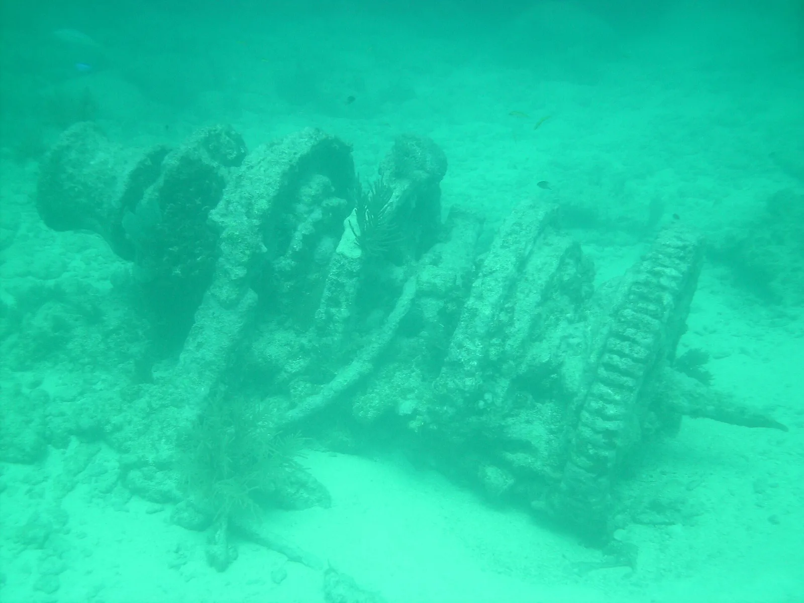 Winch at Molasses Reef — Key Largo airbnb marketing