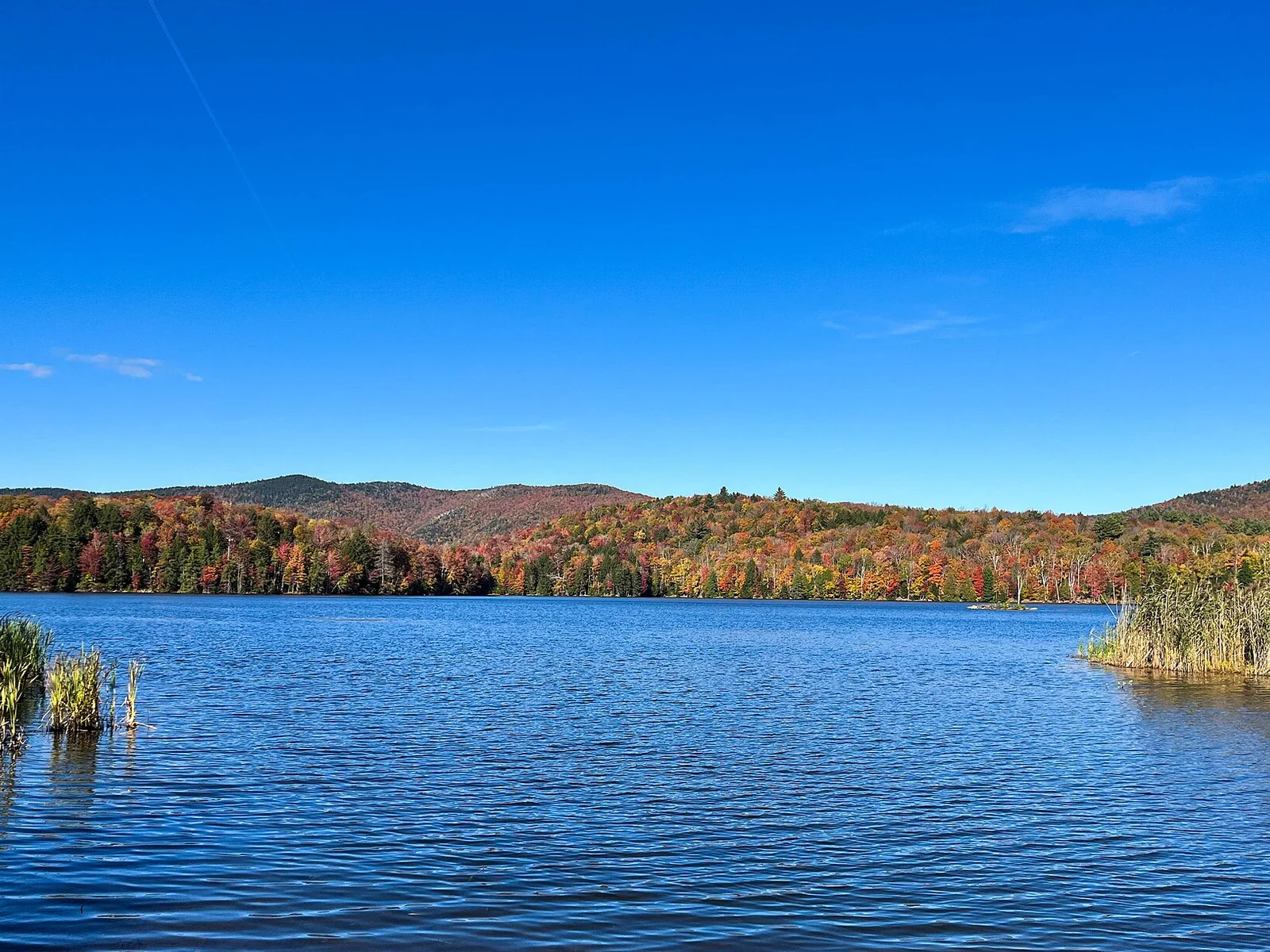 Gifford Woods State Park — Killington airbnb marketing