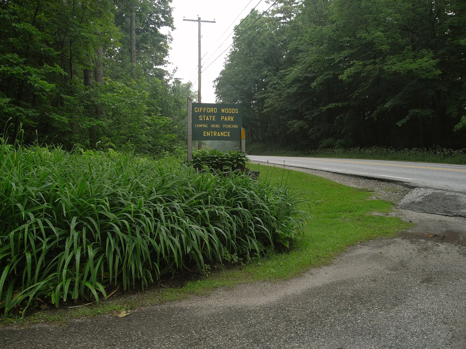 Gifford woods state park — Killington airbnb marketing
