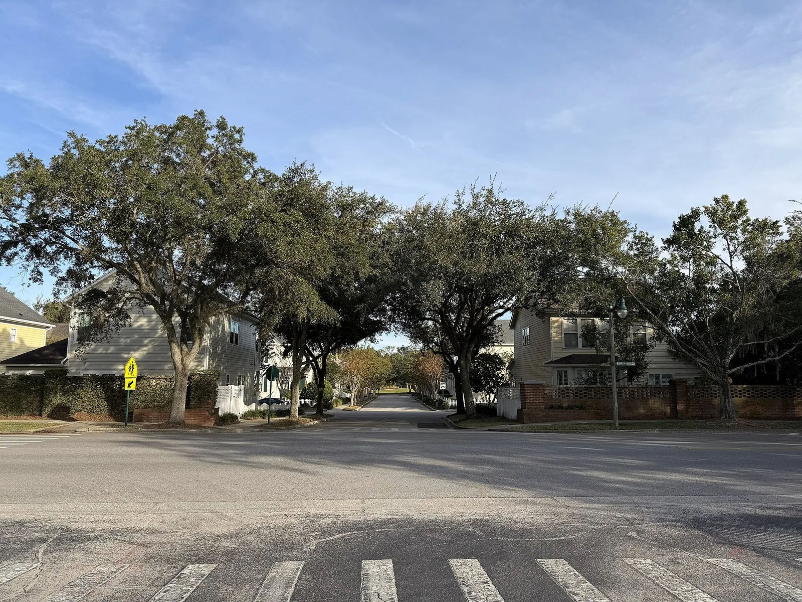 Celebration residential street tree canopy celebration florida — Kissimmee airbnb marketing