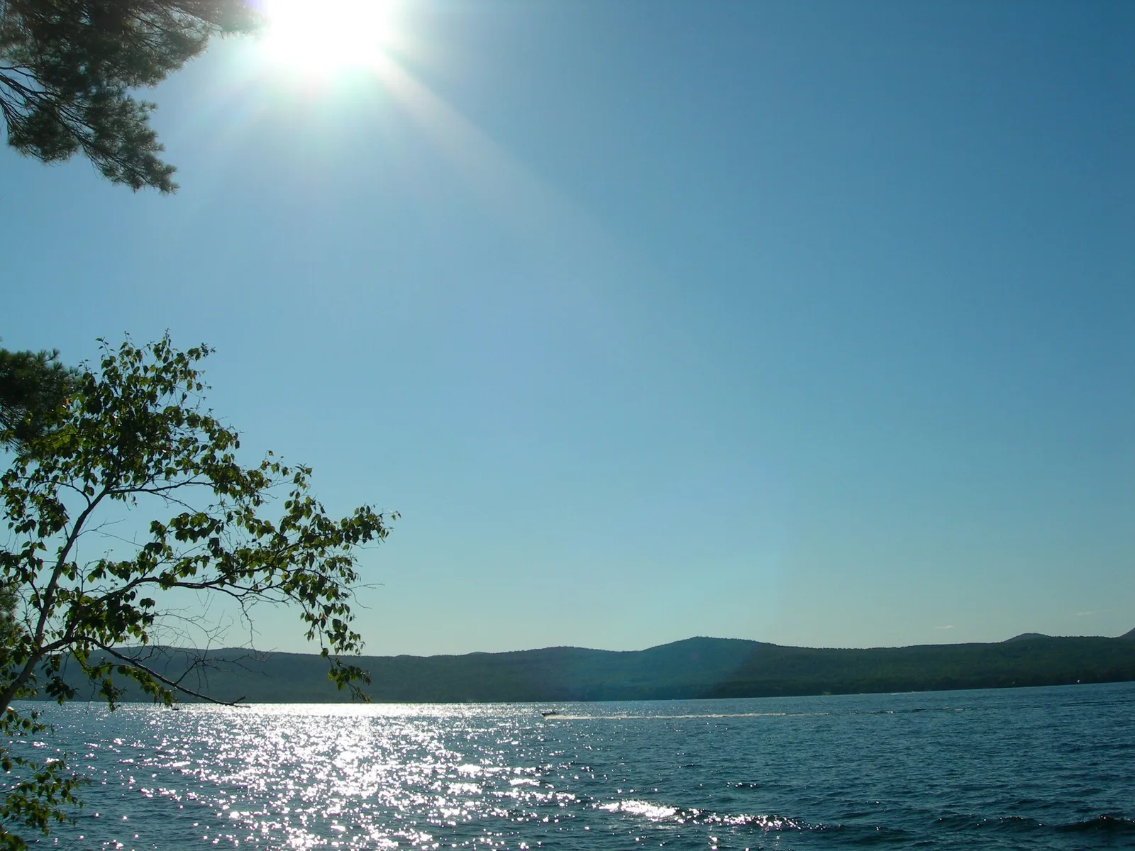 Lakegeorge — Lake George airbnb marketing
