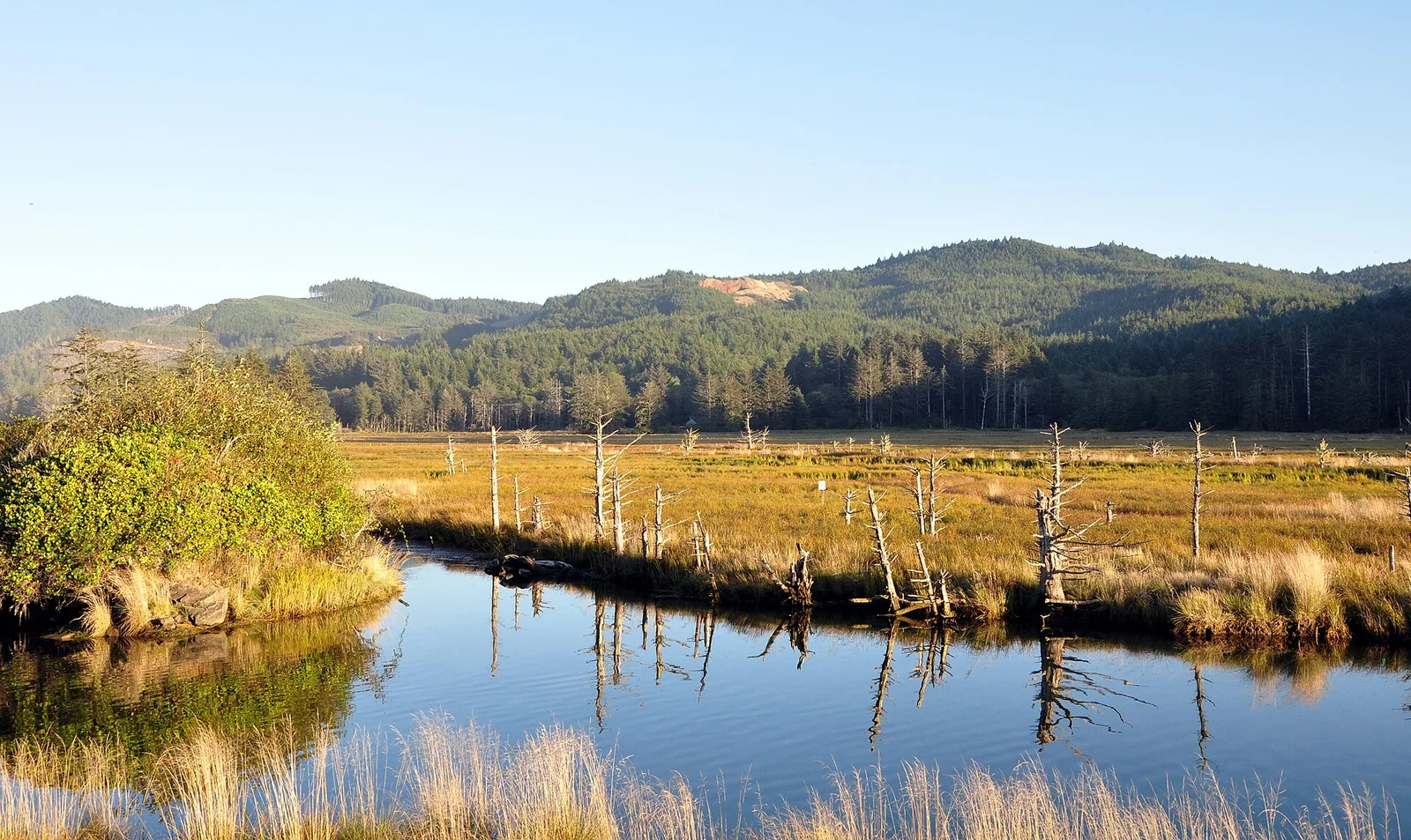 Siletz nwr — Lincoln City airbnb marketing