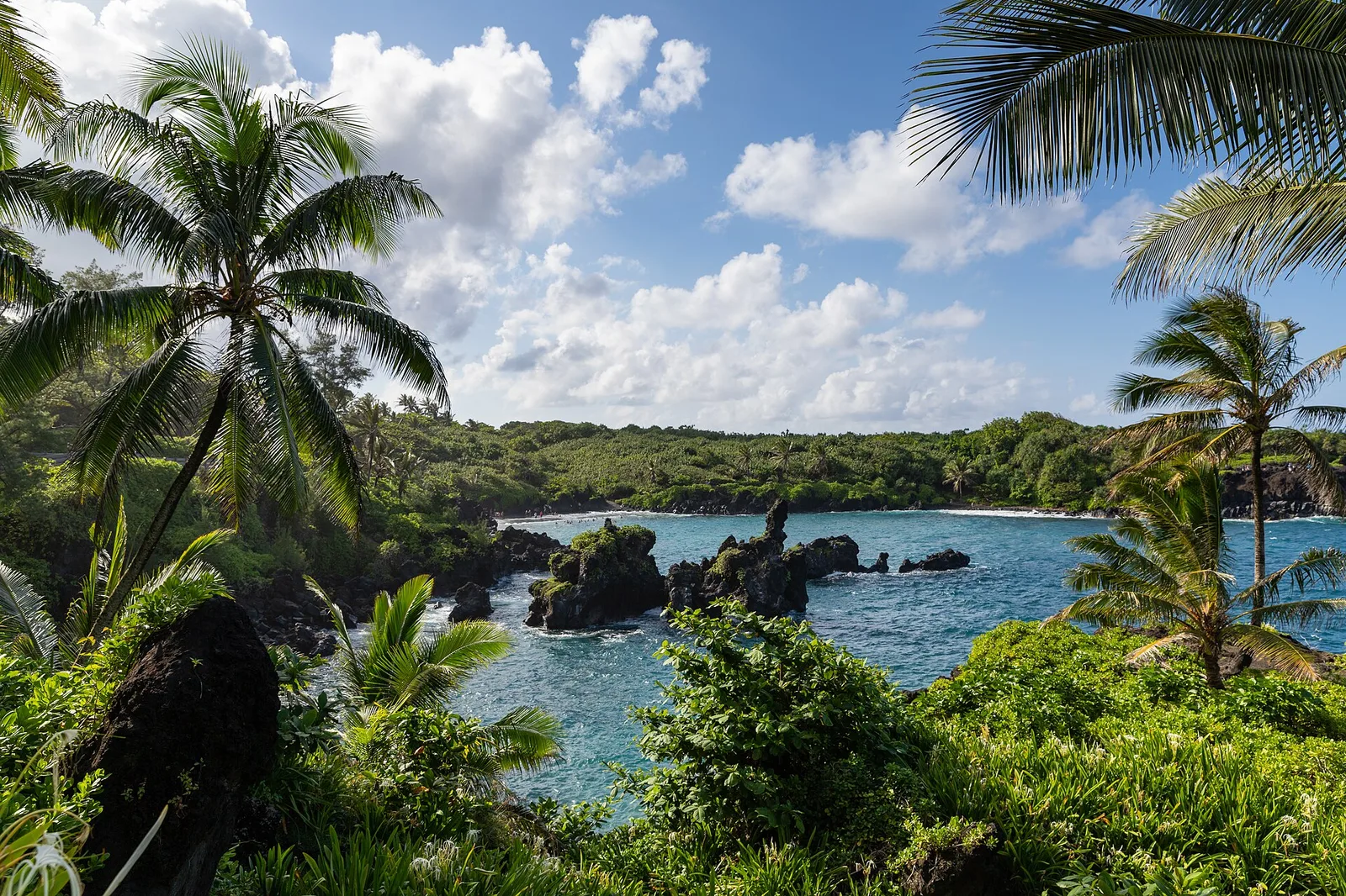 Waianapanapa State Park Maui Hawaii Road to Hana — Maui airbnb marketing