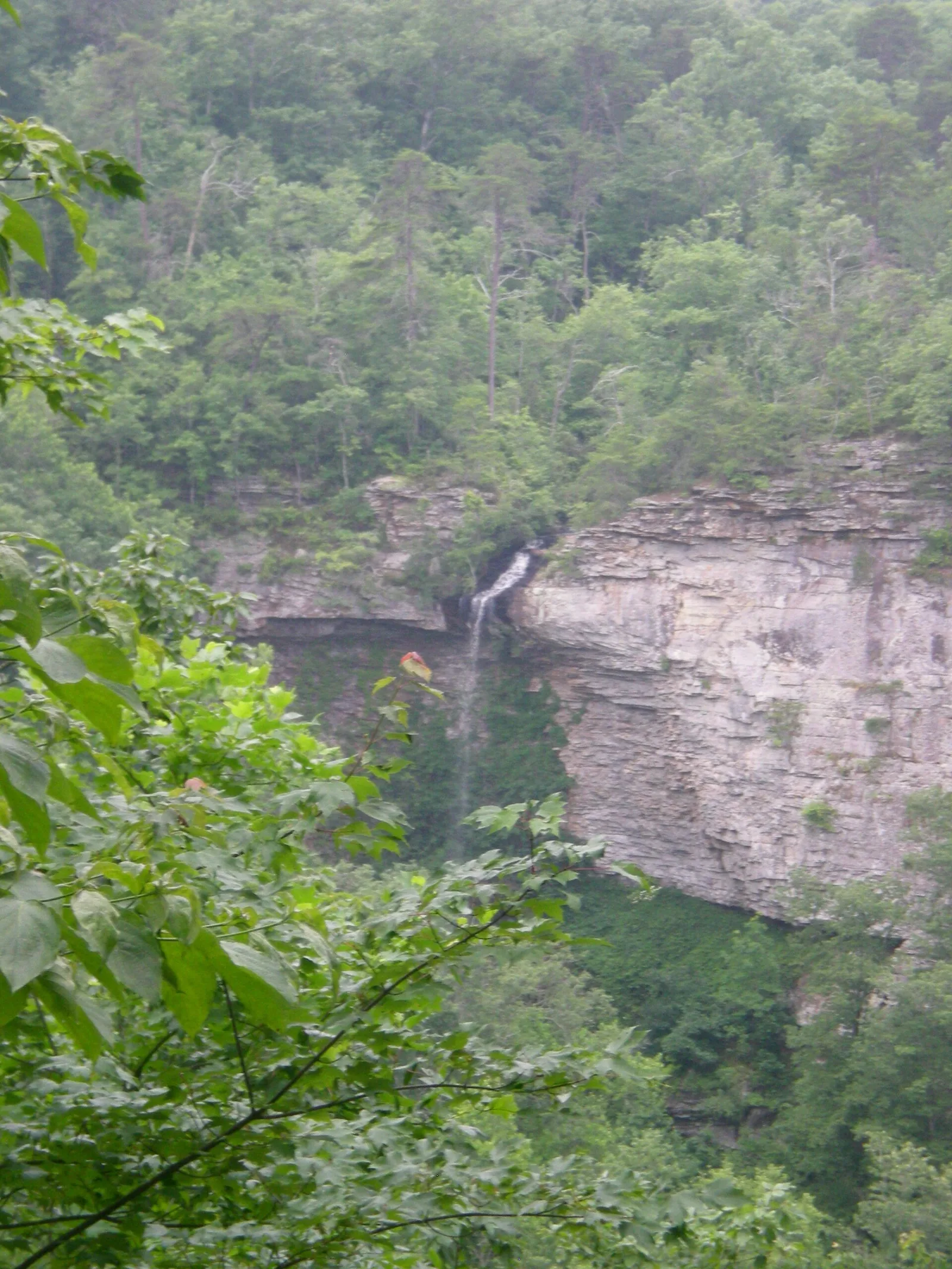 Grace falls — Mentone airbnb marketing