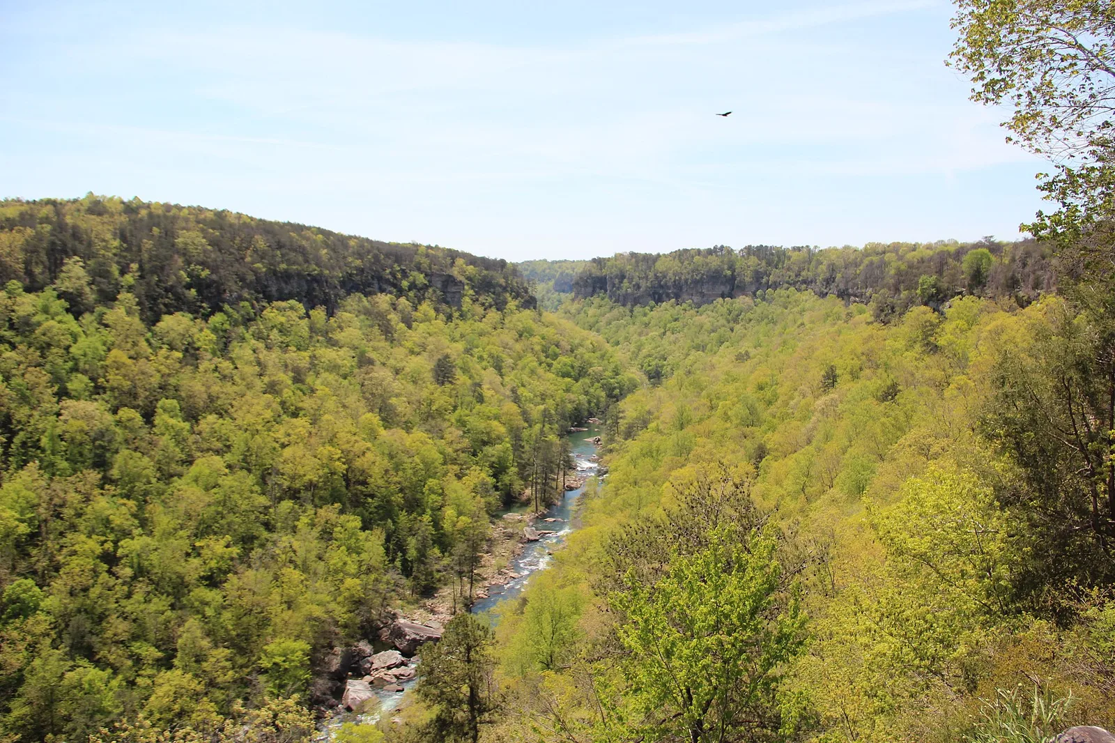 Little River Canyon from Wolf Creek Overlook, April 2018 2 — Mentone airbnb marketing