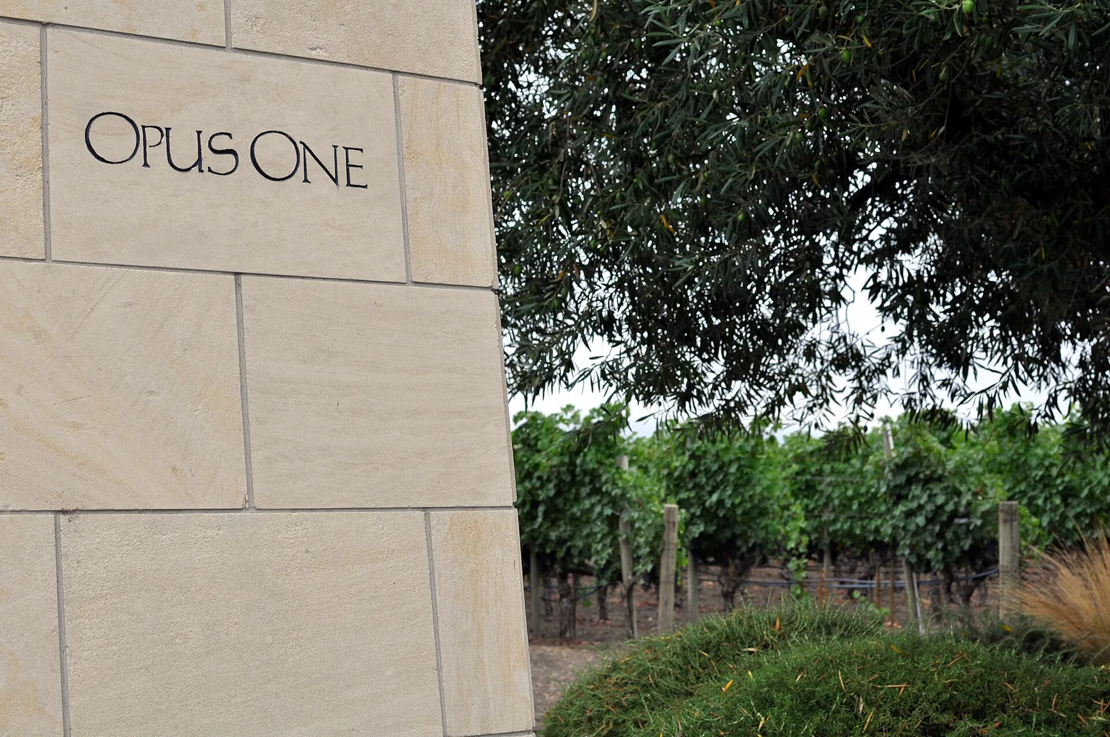 Napa Valley Opus One Photo Don Ramey Logan 01 — Napa Valley airbnb marketing