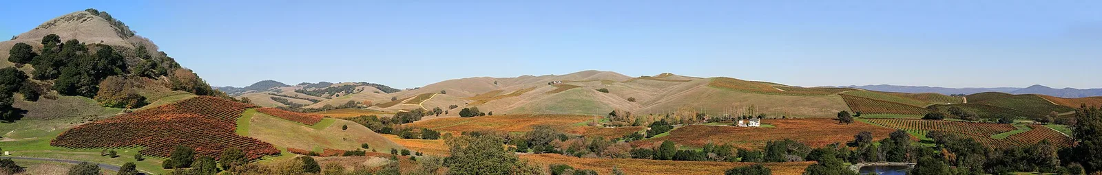 Vineyards of Napa Valley panorama — Napa Valley airbnb marketing