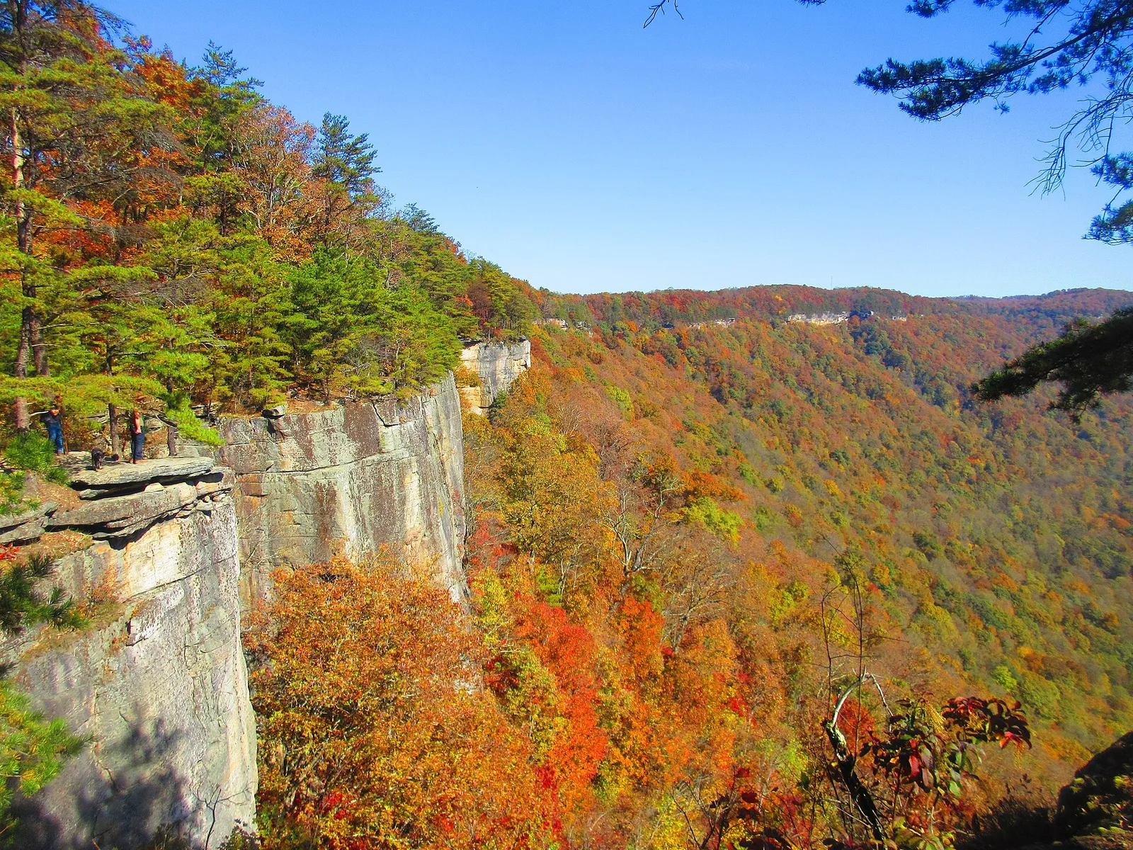 EndlessWallWV — New River Gorge airbnb marketing