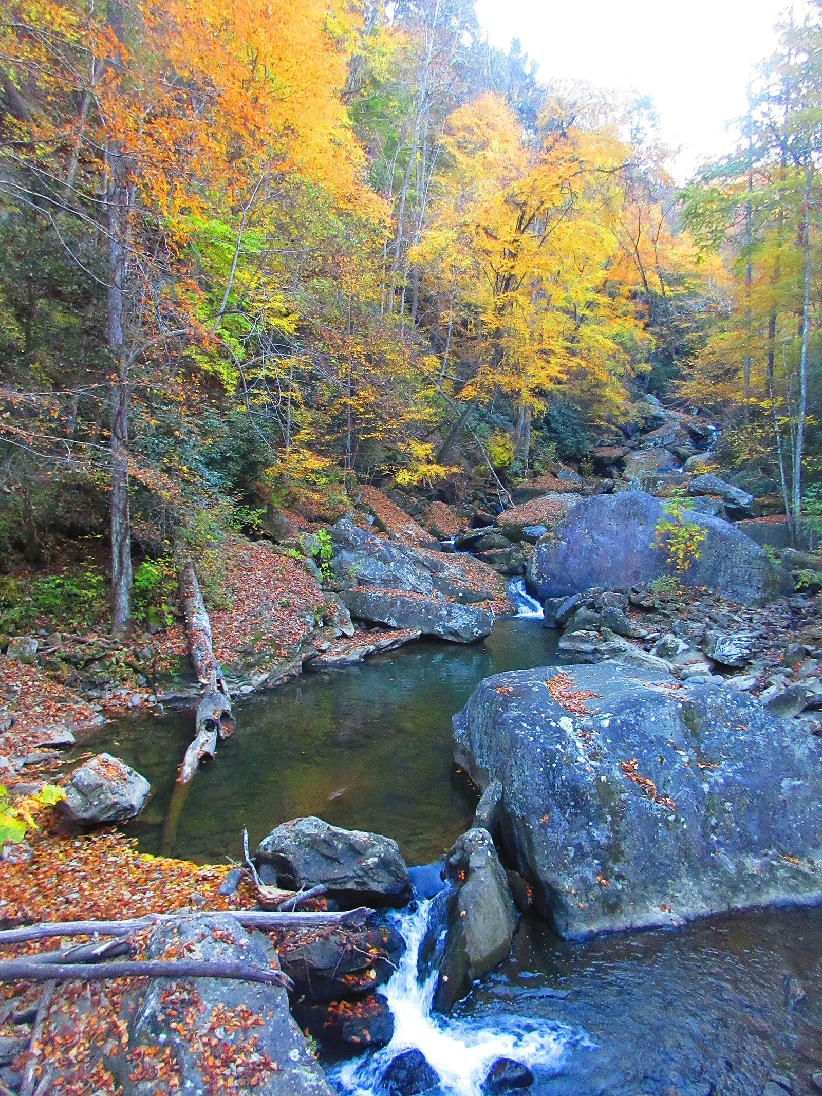 HendersonWV — New River Gorge airbnb marketing