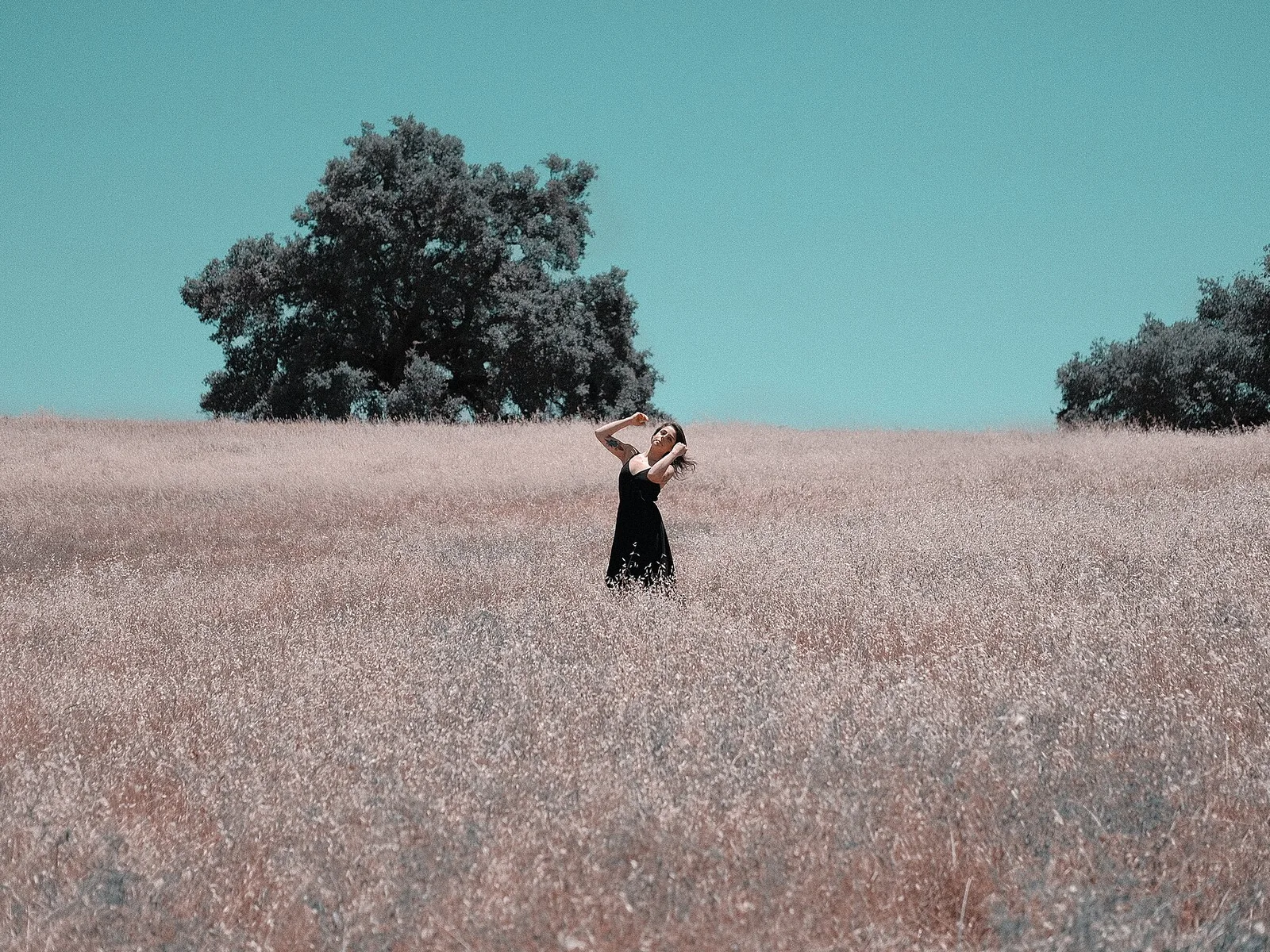 Field in Ojai — Ojai airbnb marketing
