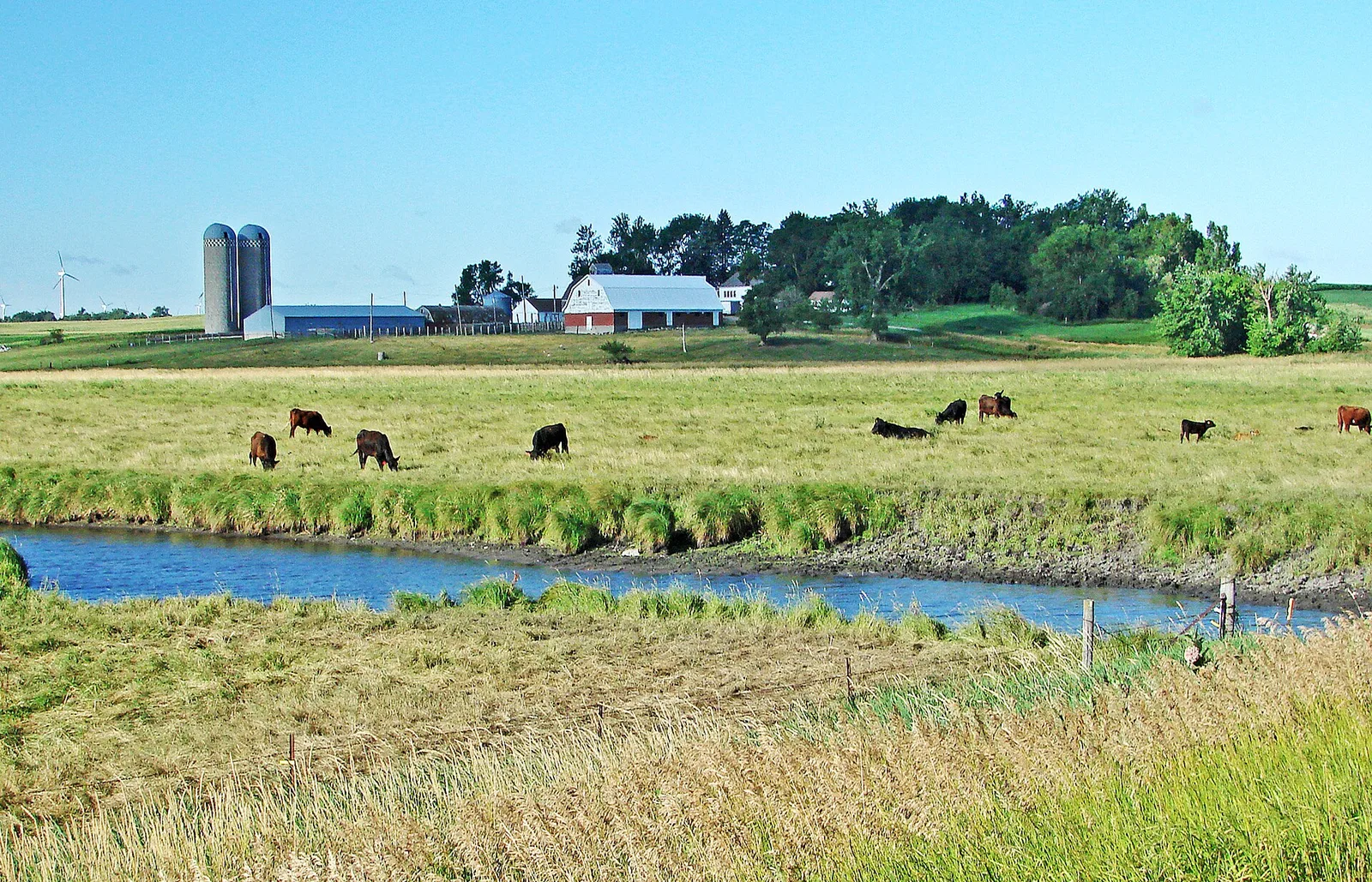 Iowa Morning, Near Spirit Lake 7 14 — Okoboji airbnb marketing