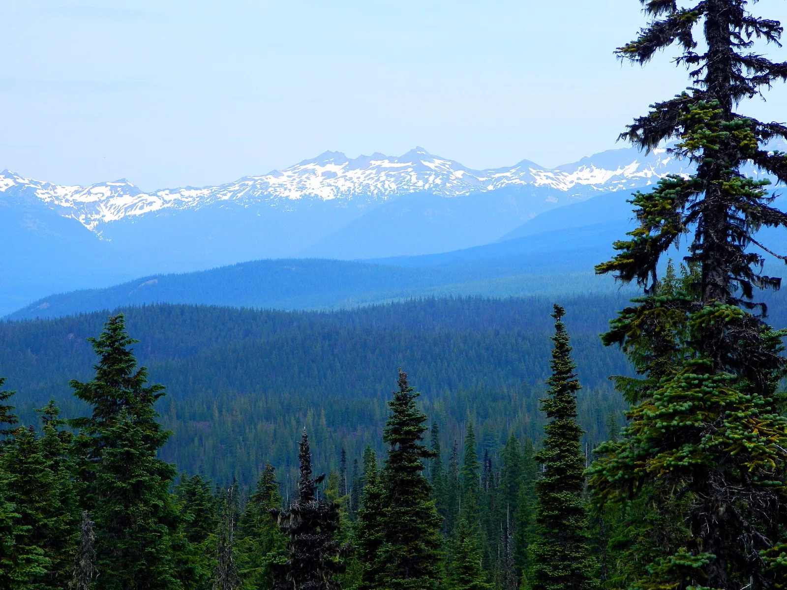 A Goat Rocks View from Takh Takh Lava Flow — Packwood airbnb marketing